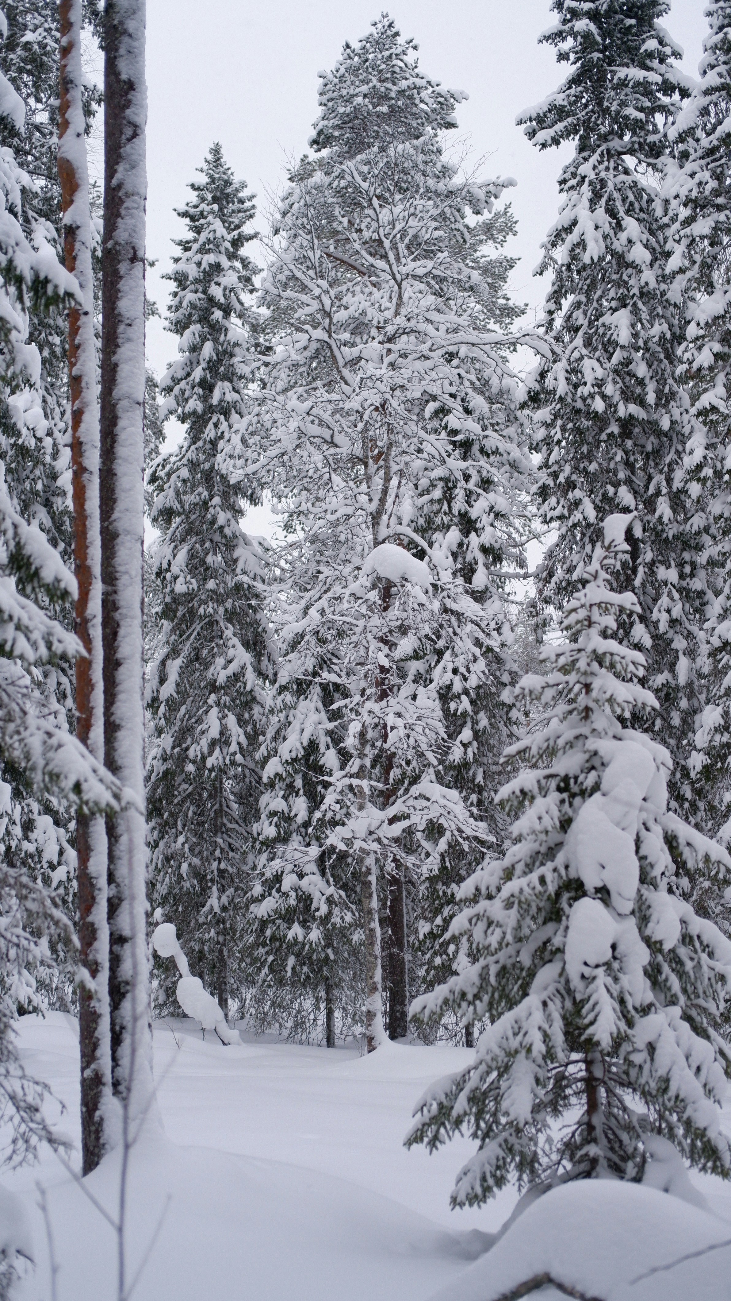 Photo by mary_borysova