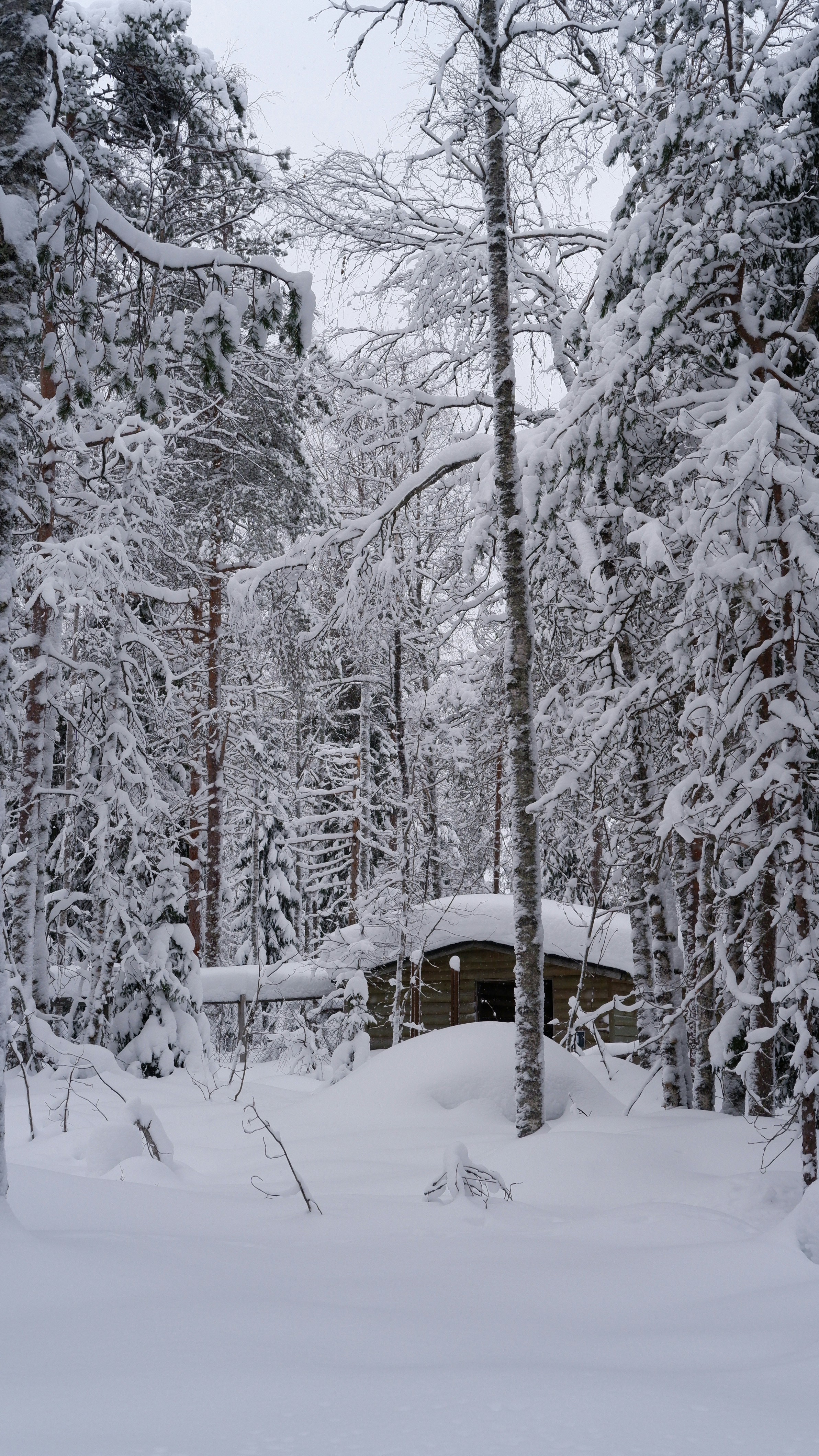 Photo by mary_borysova