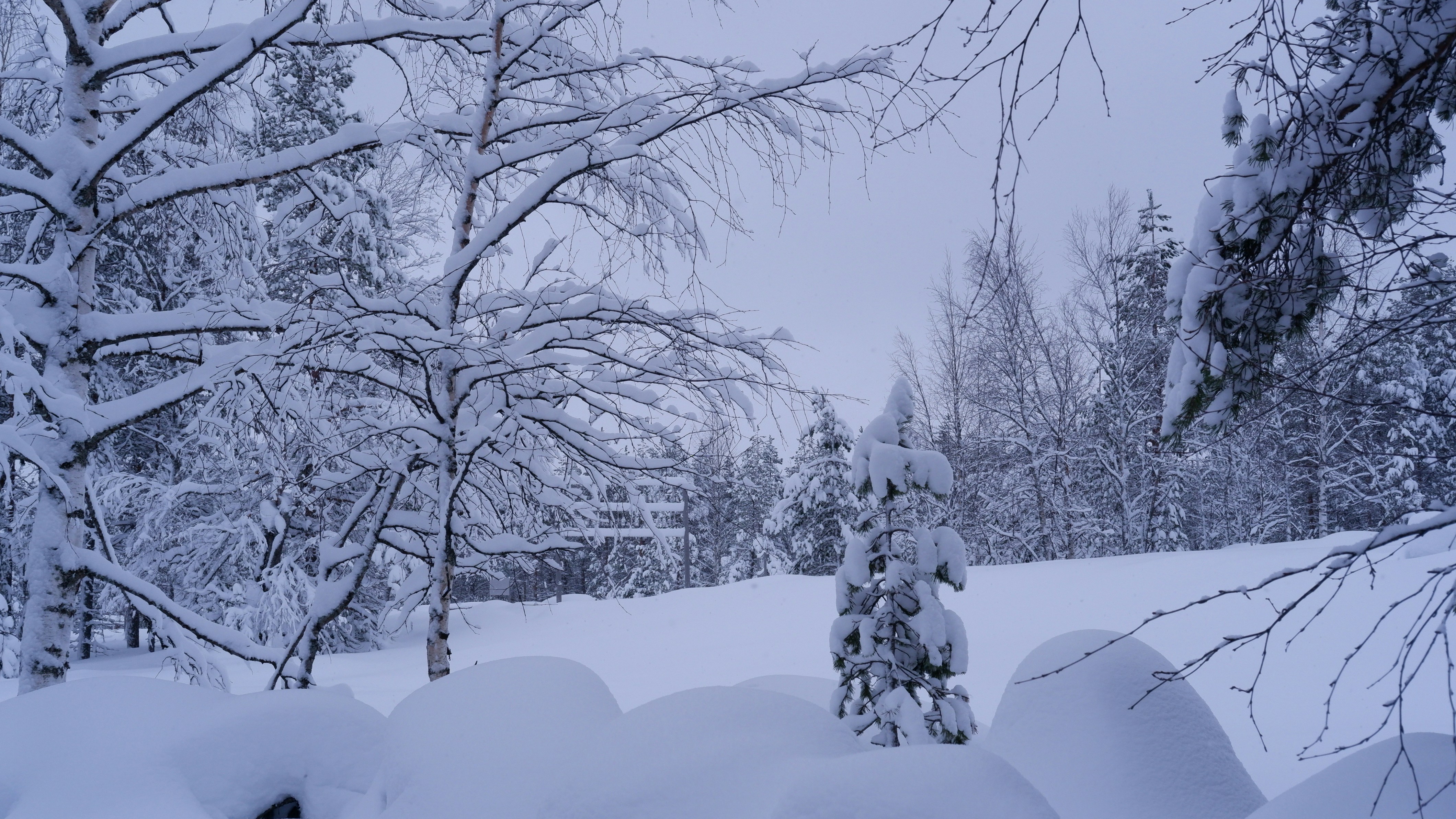 Photo by mary_borysova