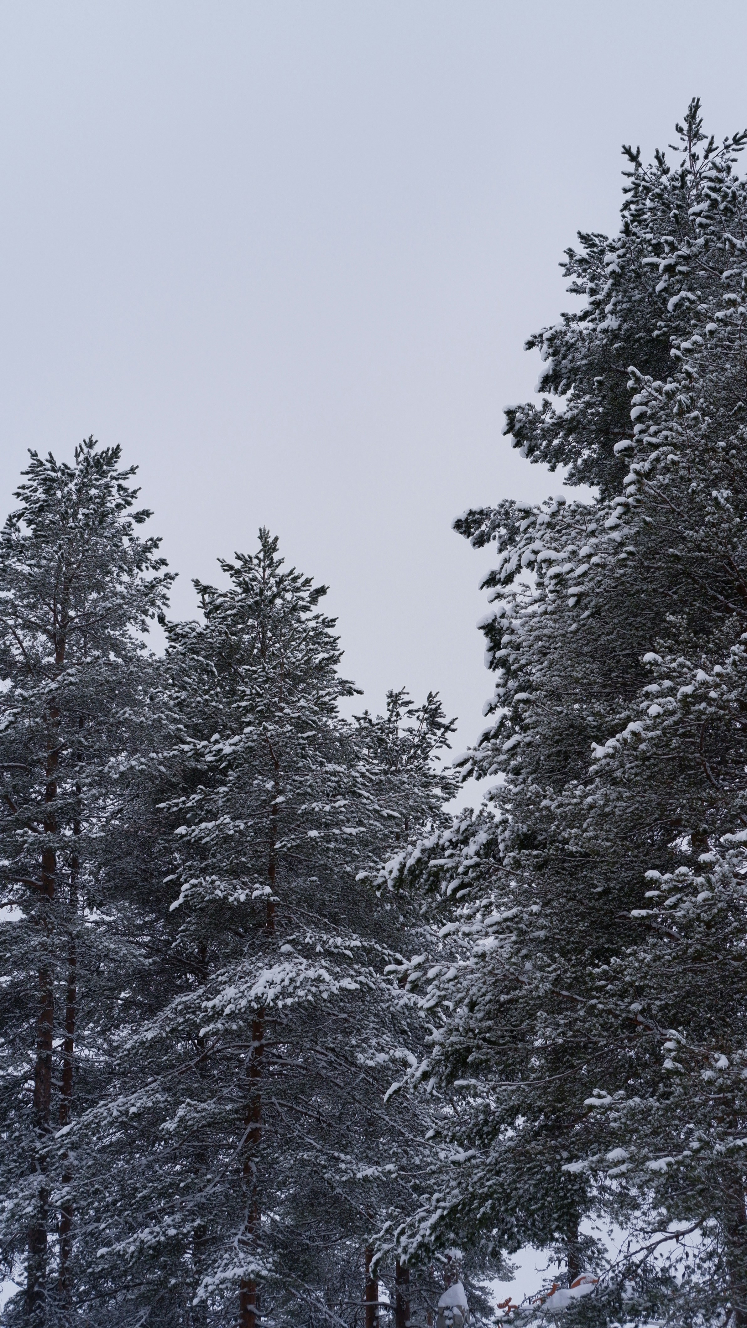 Photo by mary_borysova