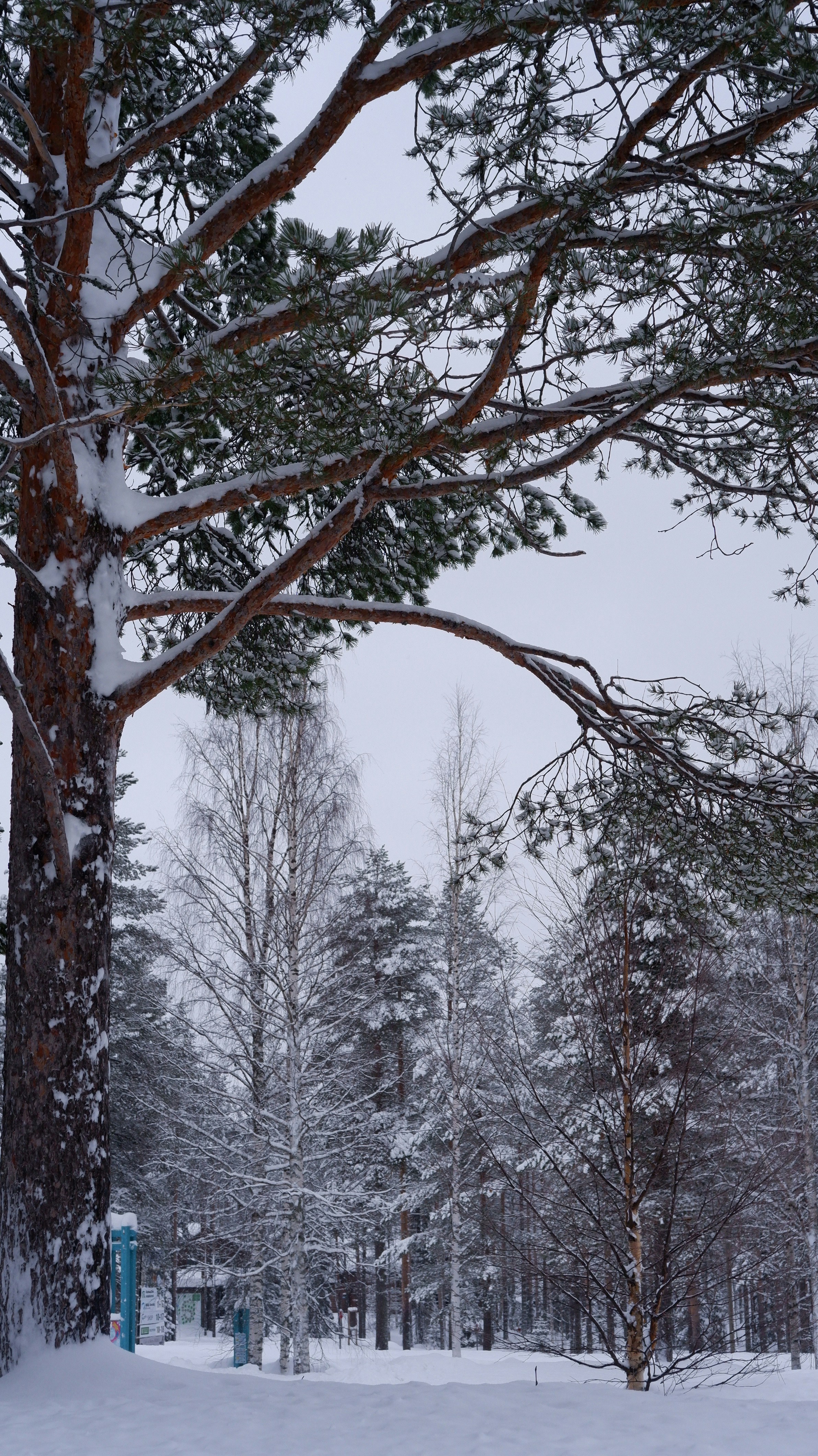 Photo by mary_borysova