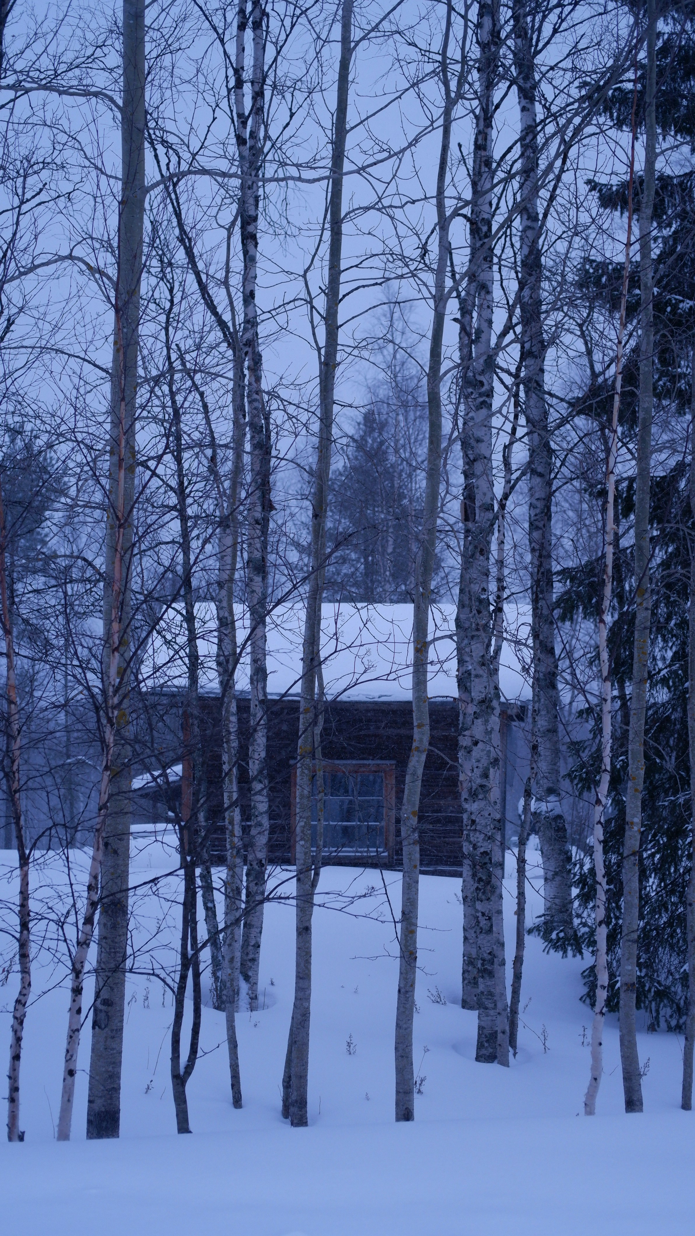 Photo by mary_borysova