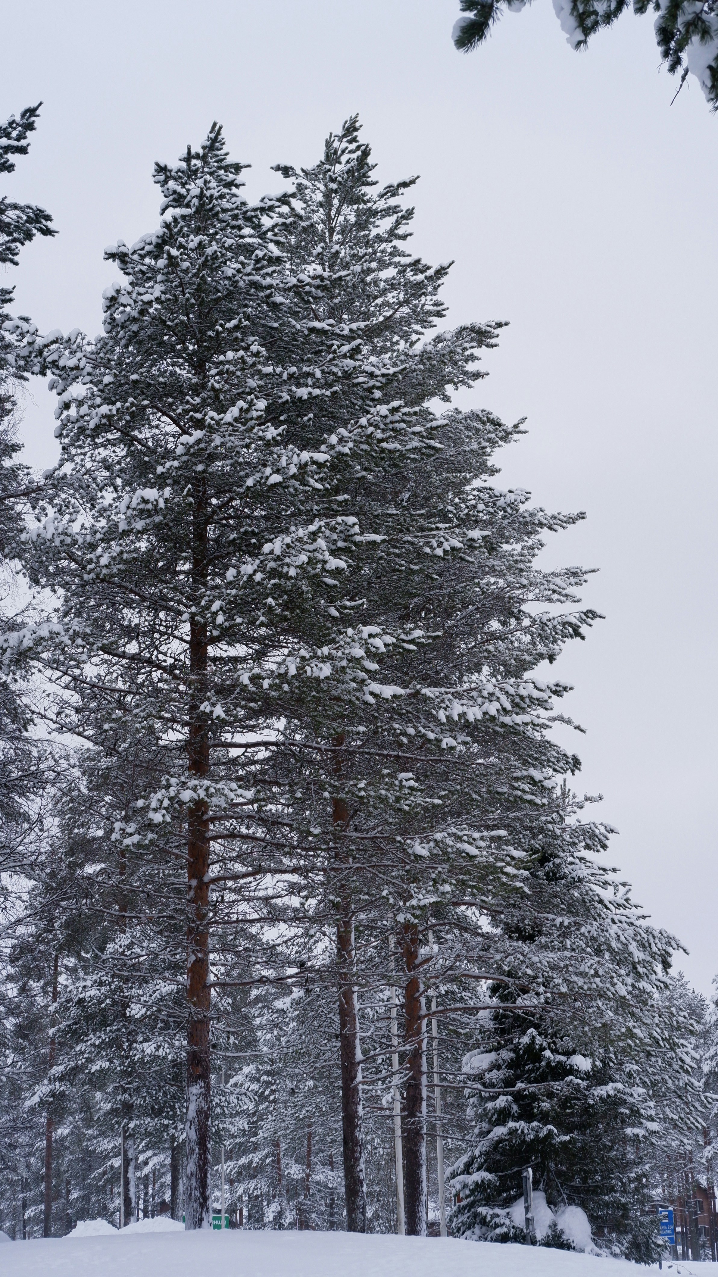 Photo by mary_borysova