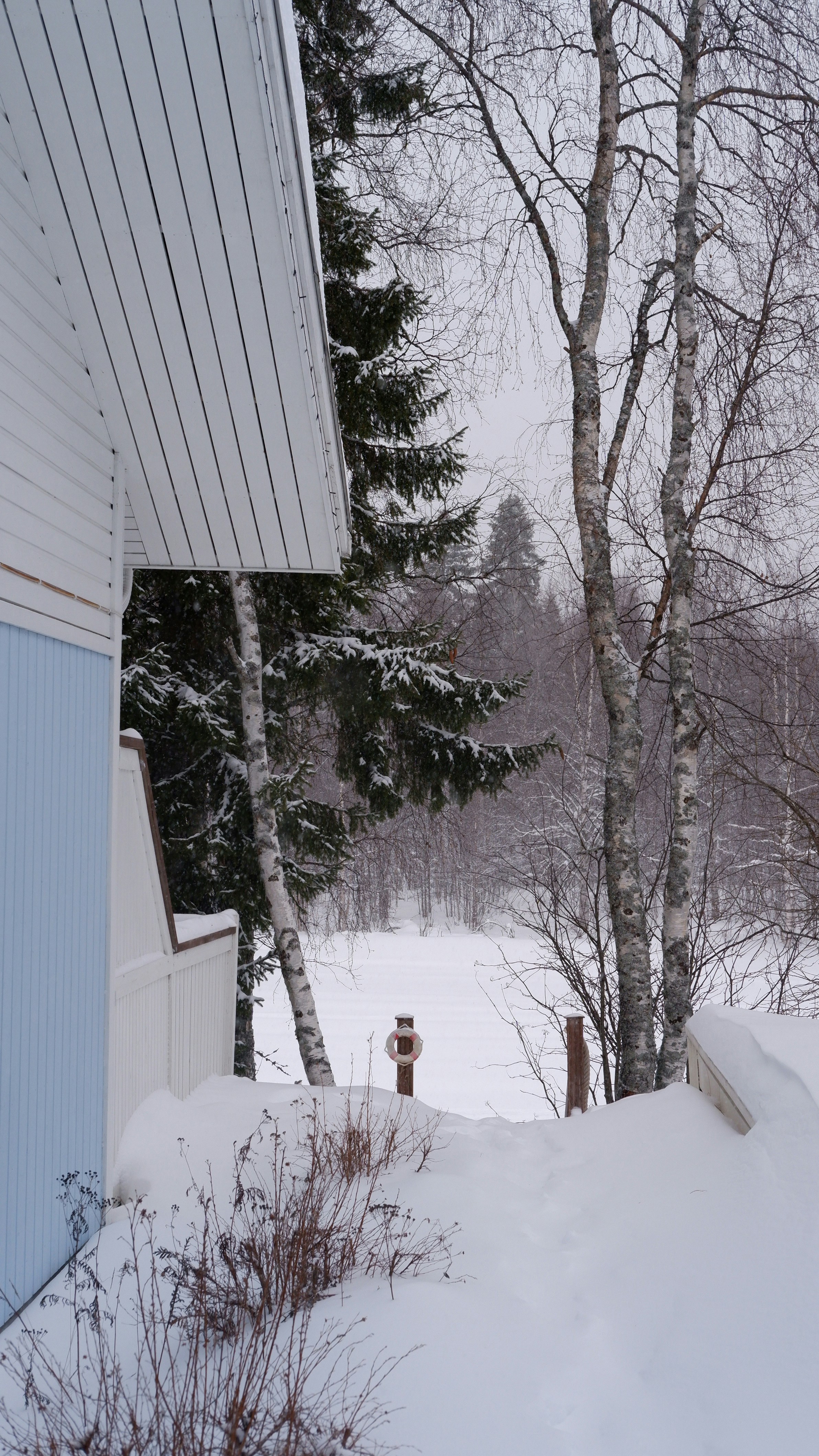 Photo by mary_borysova