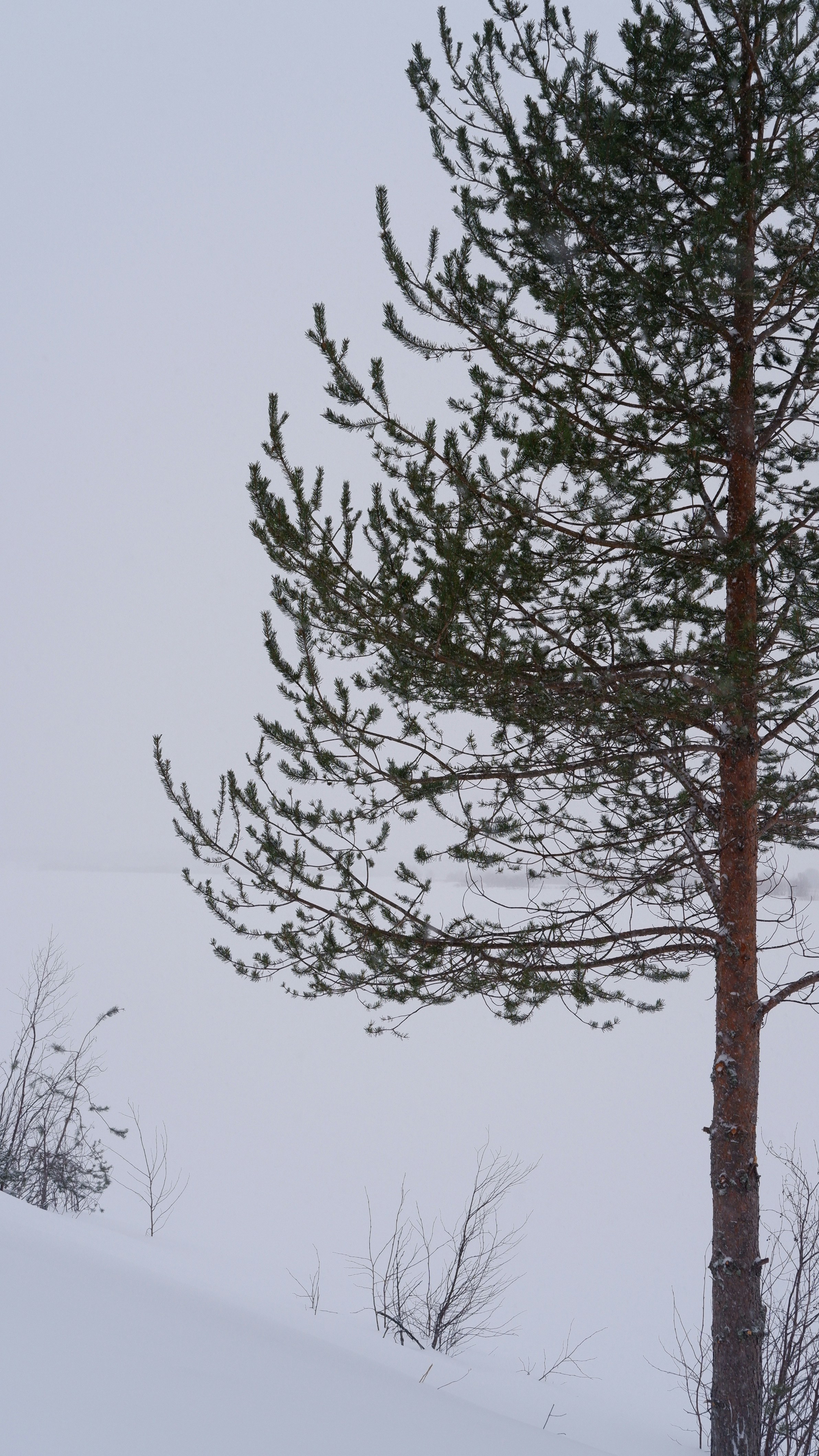 Photo by mary_borysova