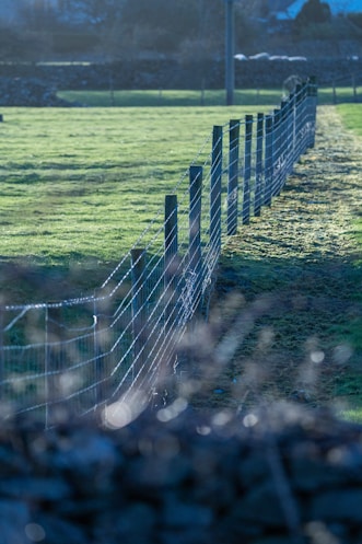 a fence in the middle of a grassy field
