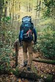 A person with a large backpack is walking along a narrow wooden bridge in a forest. The surroundings are lush with greenery and autumn leaves scattered on the ground. The person appears to be hiking, equipped with outdoor gear including climbing rope and a water bottle attached to the backpack.