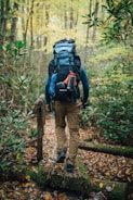 A person with a large backpack is walking along a narrow wooden bridge in a forest. The surroundings are lush with greenery and autumn leaves scattered on the ground. The person appears to be hiking, equipped with outdoor gear including climbing rope and a water bottle attached to the backpack.