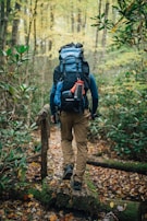 A person with a large backpack is walking along a narrow wooden bridge in a forest. The surroundings are lush with greenery and autumn leaves scattered on the ground. The person appears to be hiking, equipped with outdoor gear including climbing rope and a water bottle attached to the backpack.