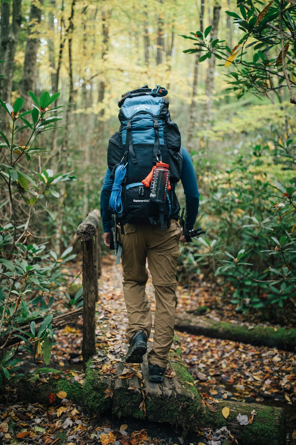 a man with a blue backpack is walking through the woods