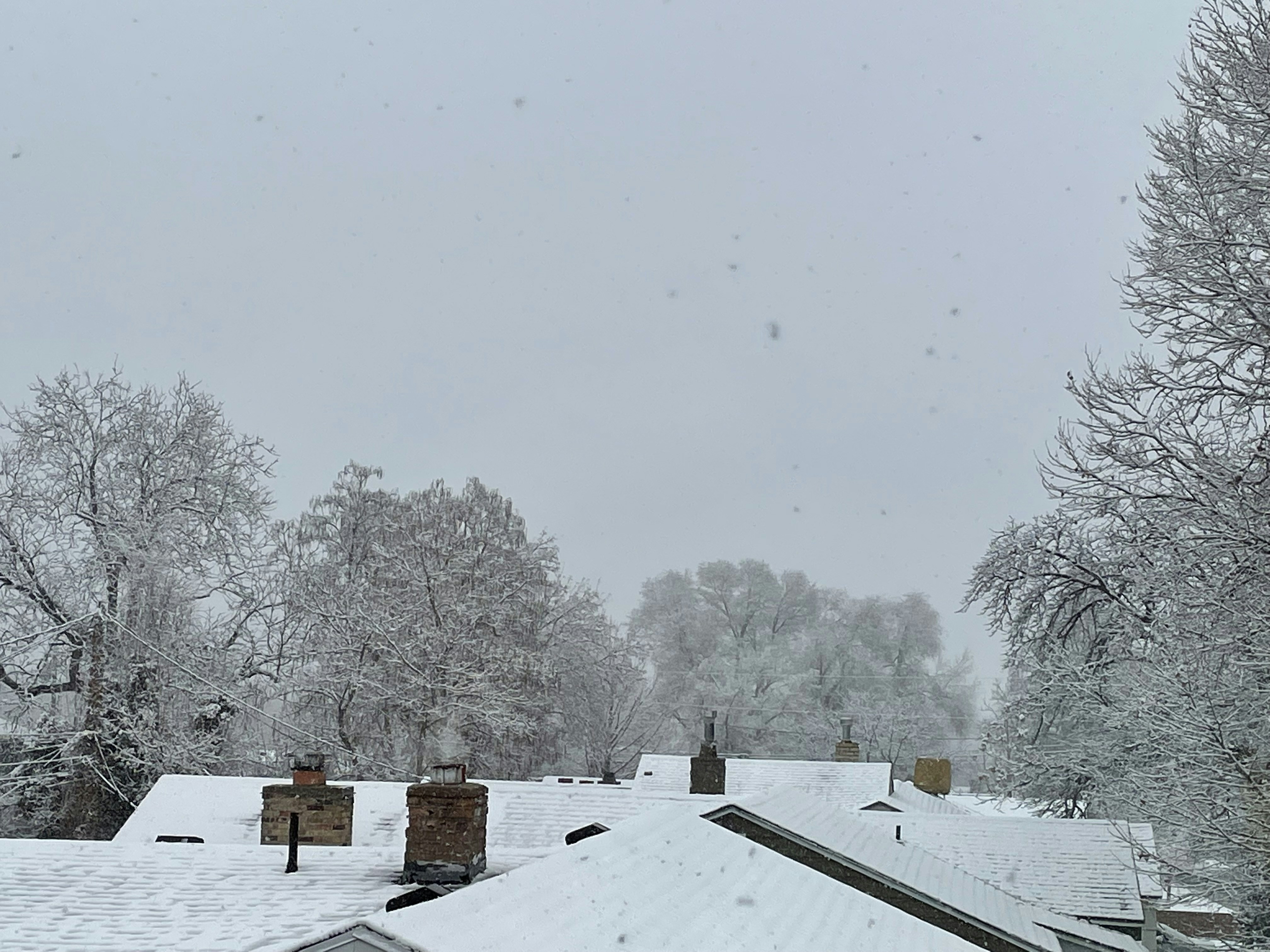 a snow covered roof with trees in the background