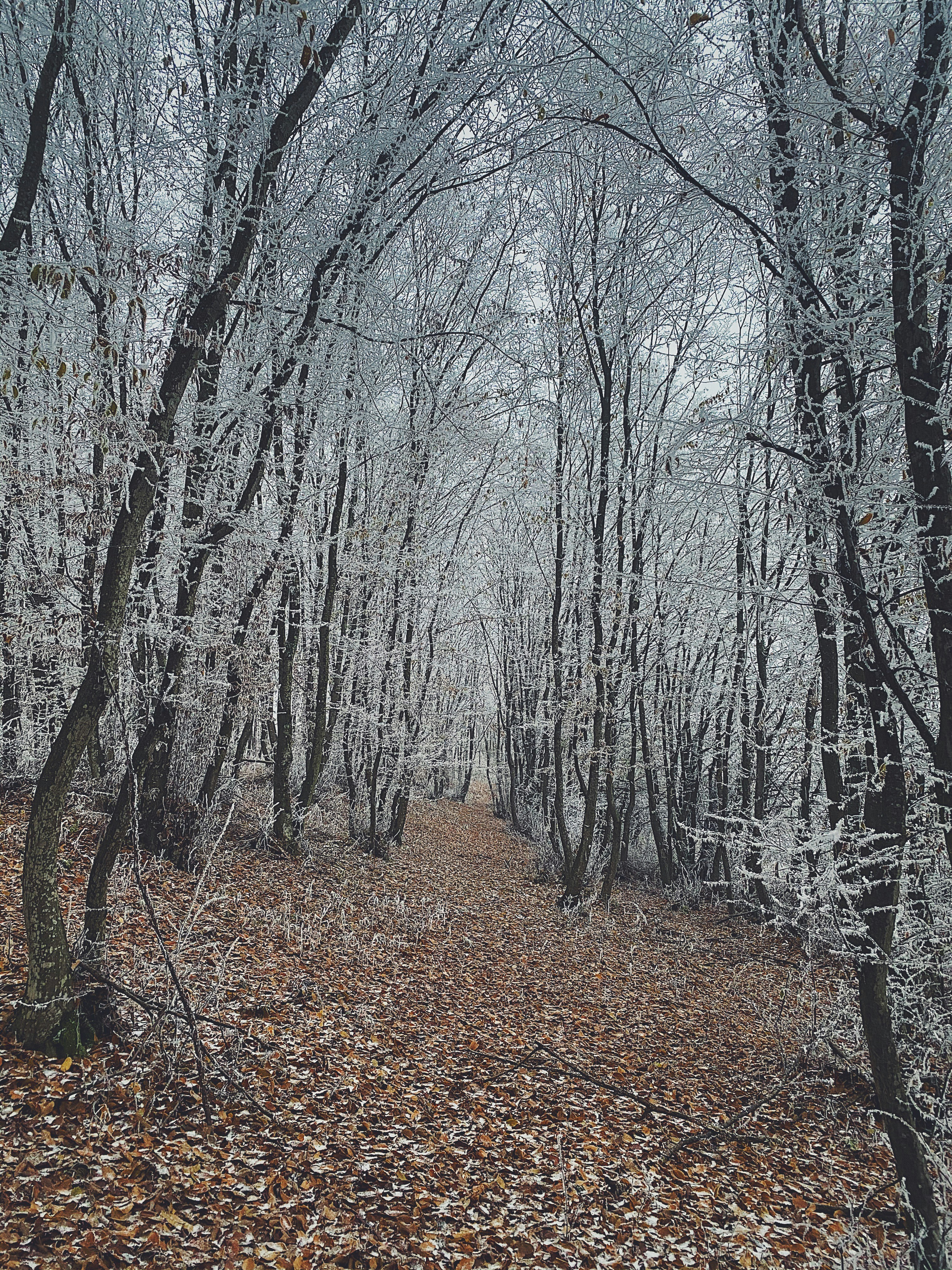 Photo by kakasikriszta