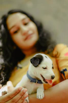 A playful puppy meeting its forever family for the first time.