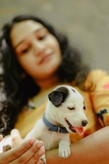 A heartwarming adoption moment between a family and their new puppy.
