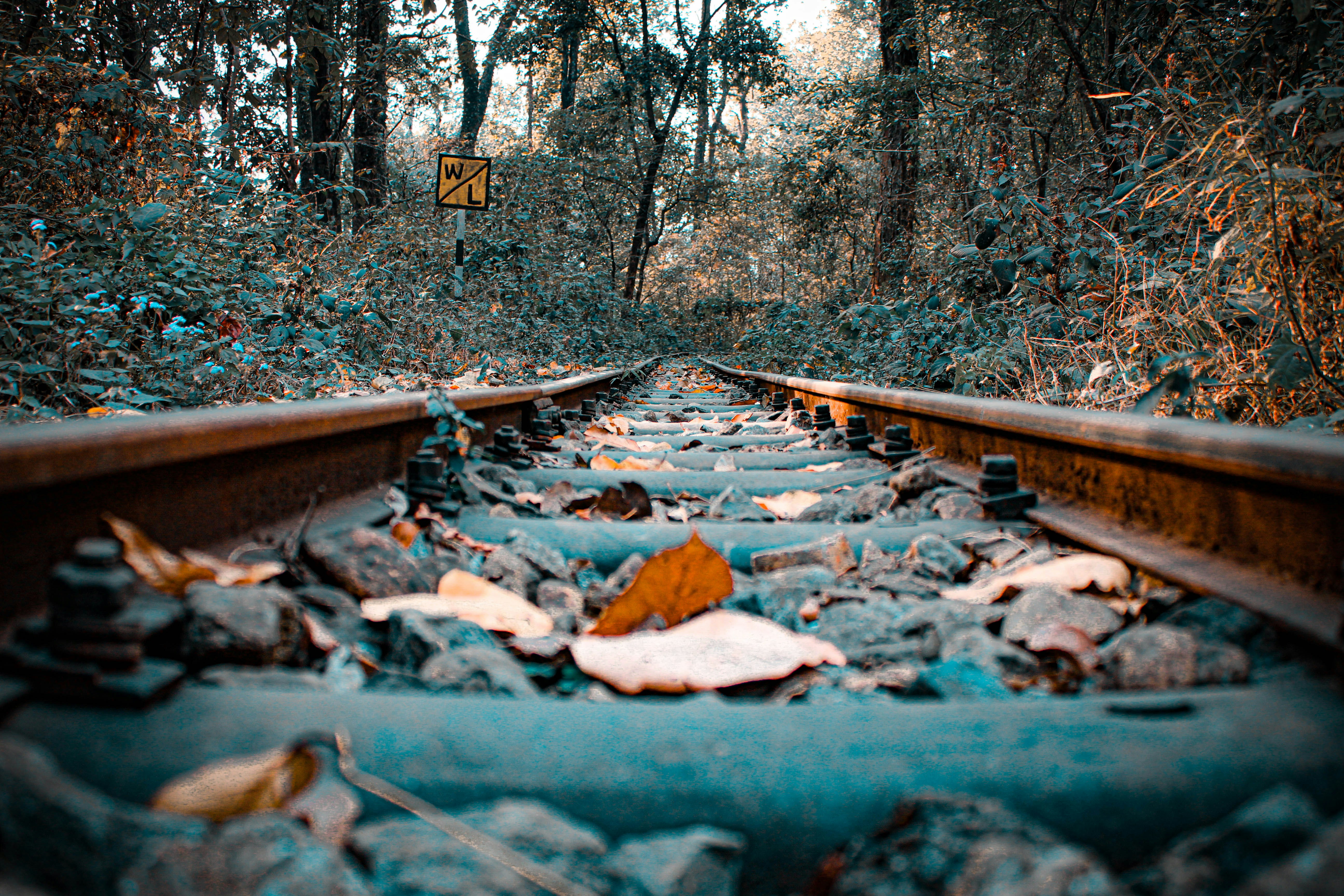 Photo by surajit_sarkar