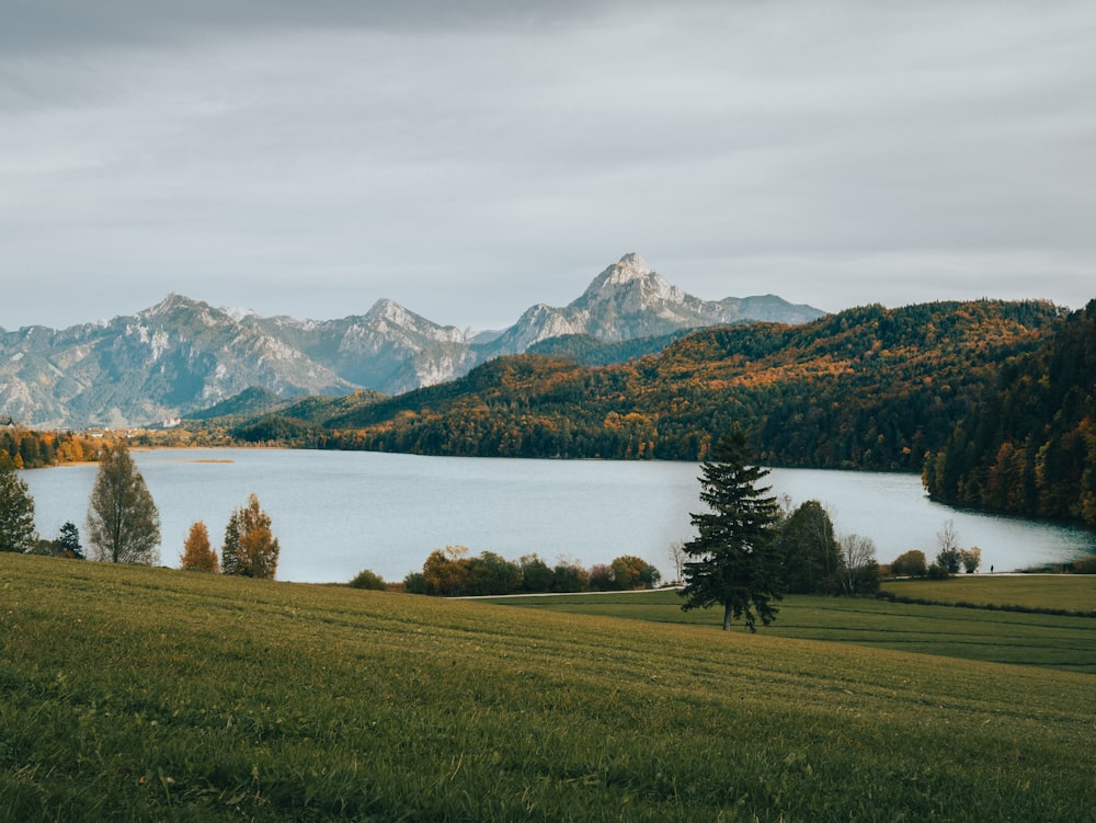 a large body of water surrounded by mountains