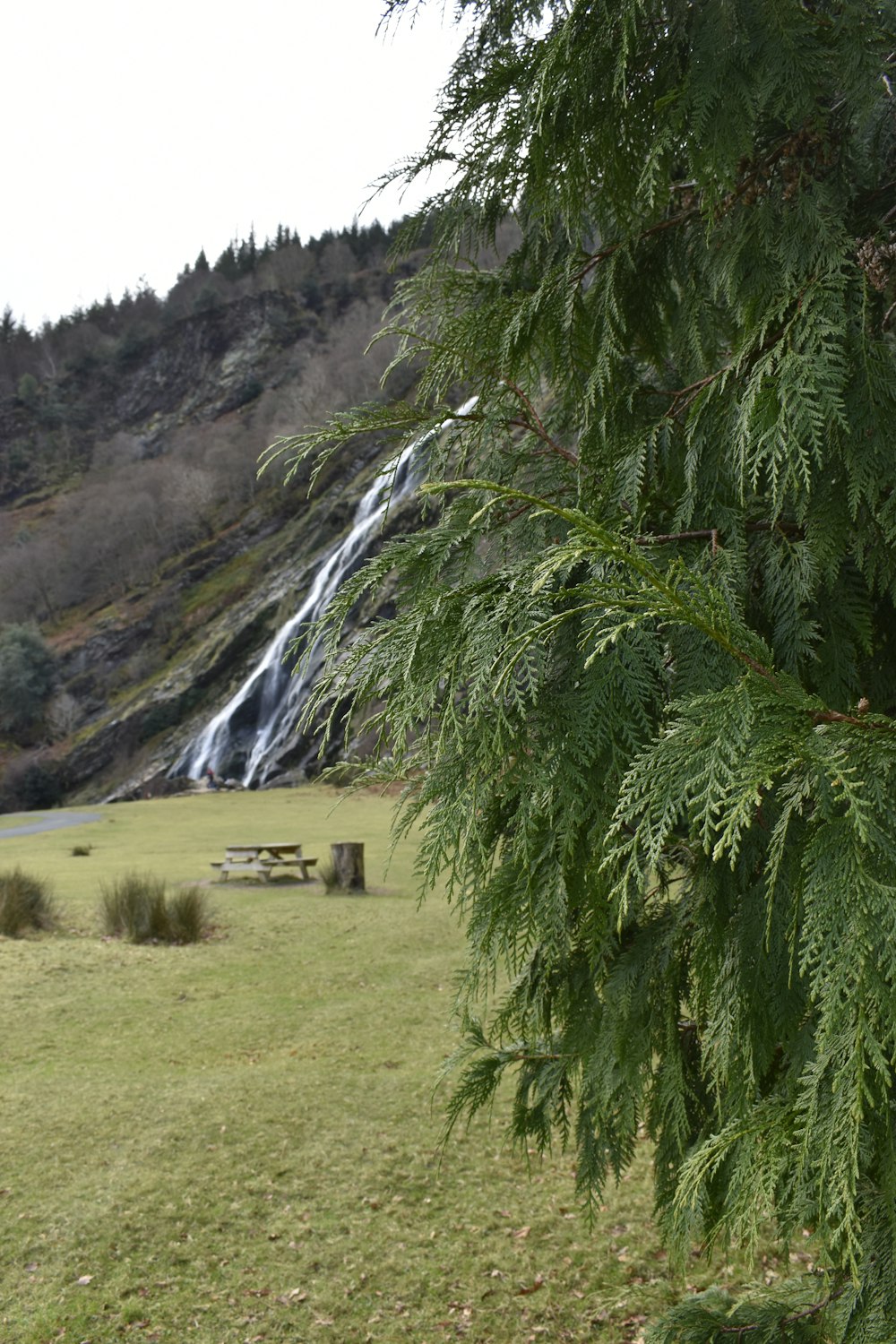 a bench under a tree in front of a waterfall