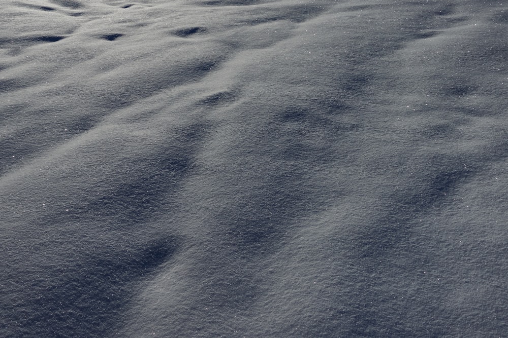 a snow covered field with a bird in the distance