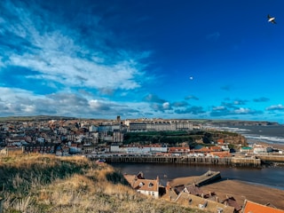 Aerial view of a coastal town with houses near the beach.