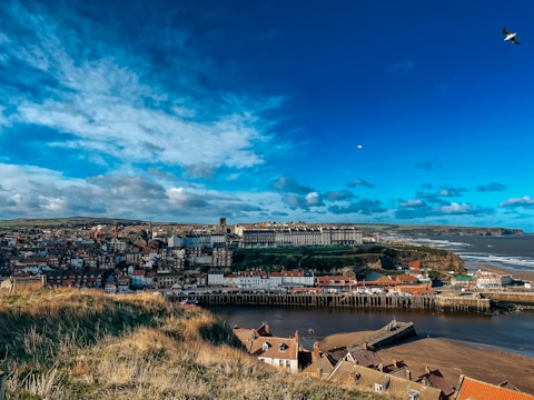 Aerial view of a coastal town with houses near the beach.