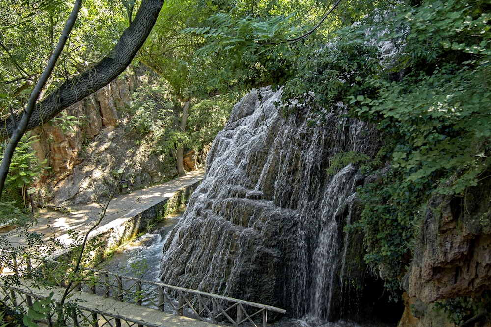 a small waterfall in the middle of a forest