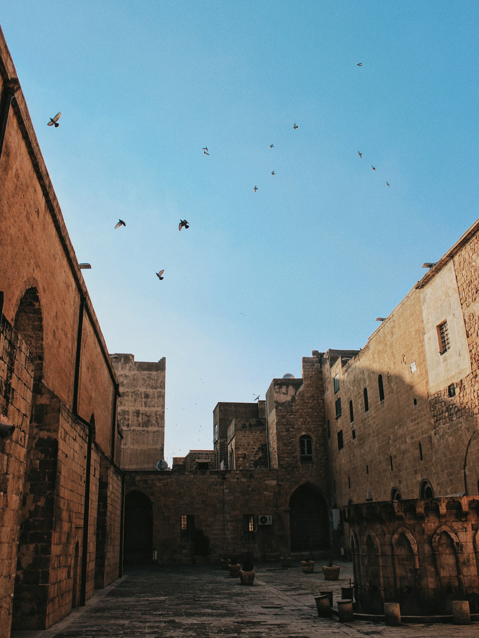 a group of birds flying over a stone building
