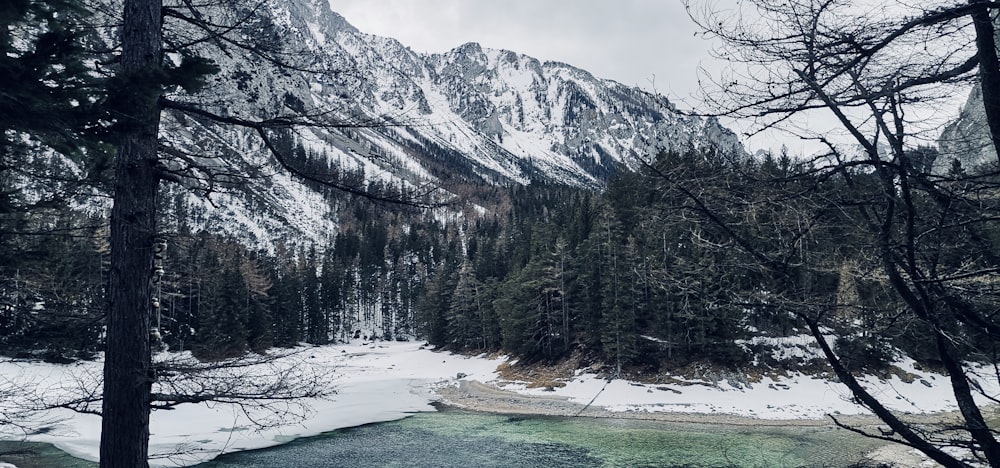 Ein Fluss, umgeben von schneebedeckten Bergen und Bäumen