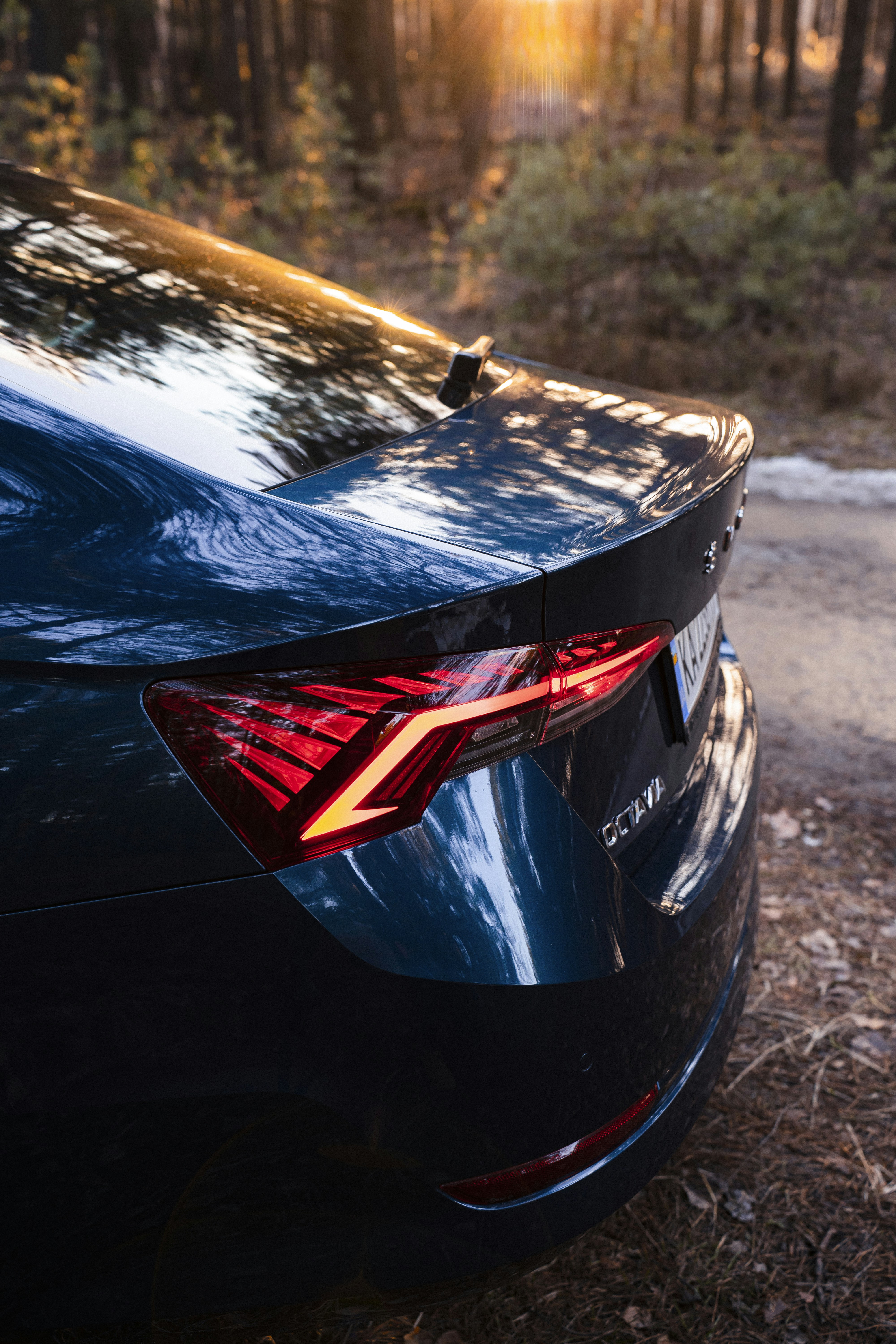 Photo by maksym_tymchyk