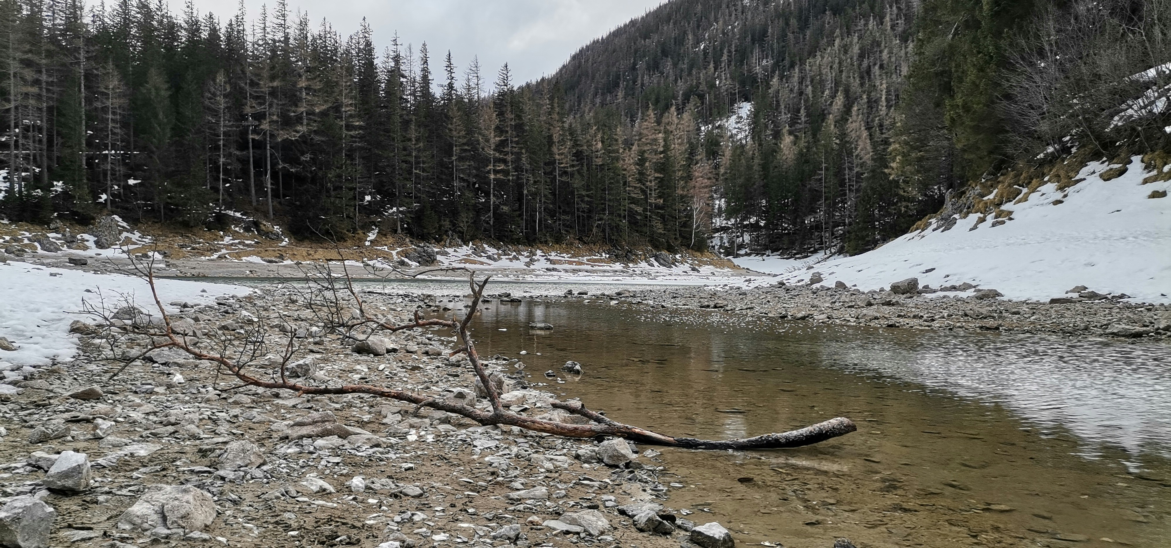 Ein kleiner Bach, der durch einen schneebedeckten Wald fließt