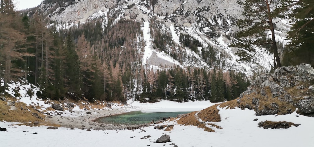 a snow covered mountain with a lake surrounded by trees