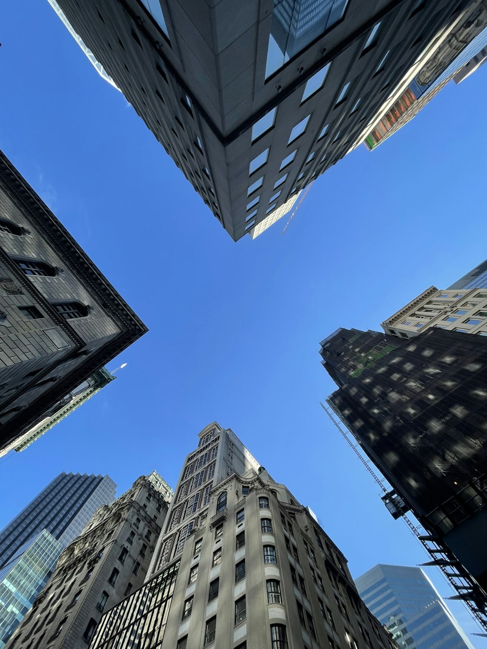 looking up at tall buildings in a city