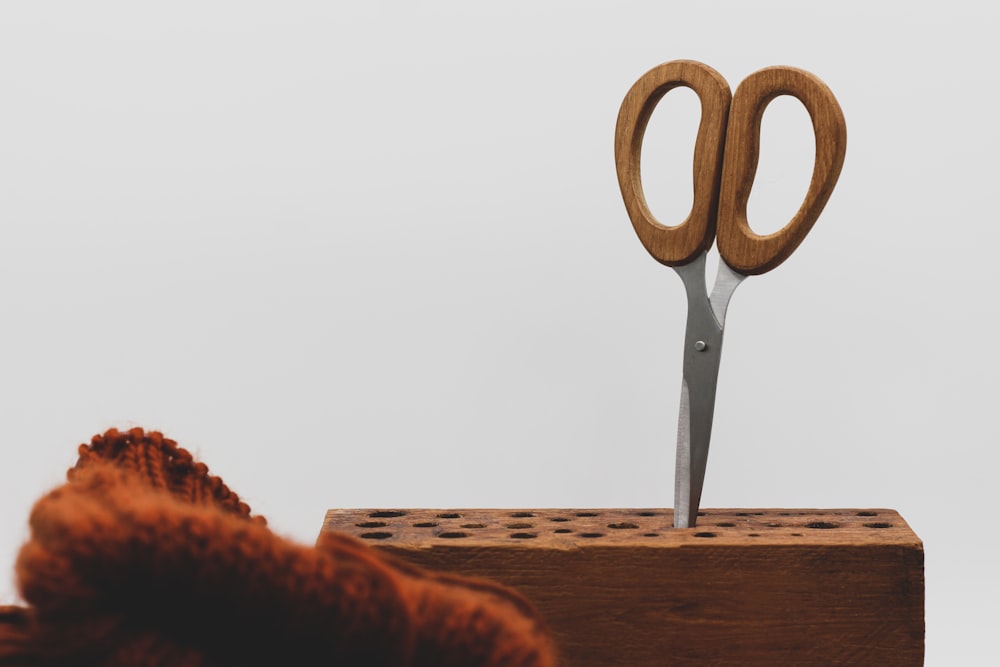 a pair of scissors sitting on top of a wooden block