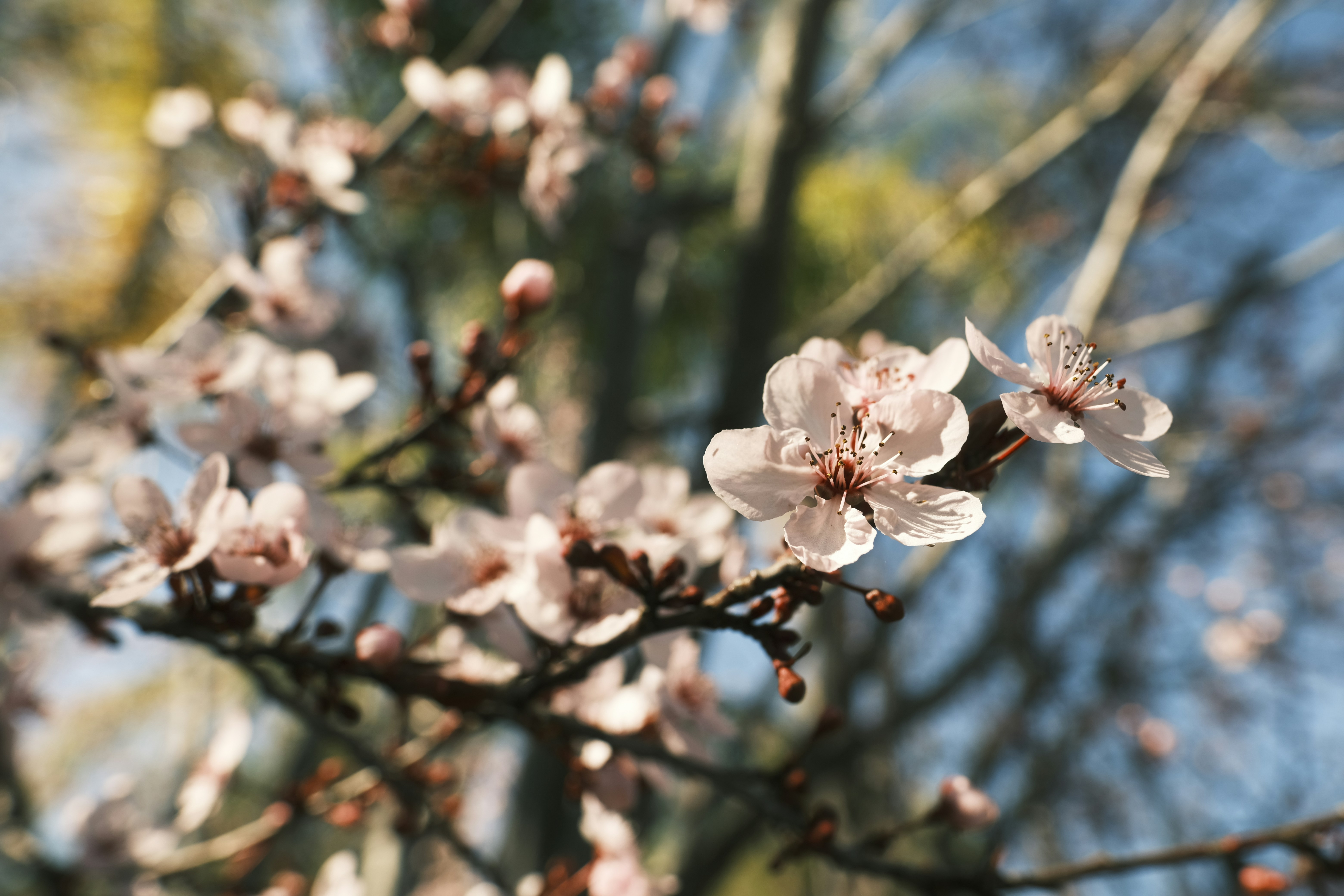 Photo by chandleraitchison