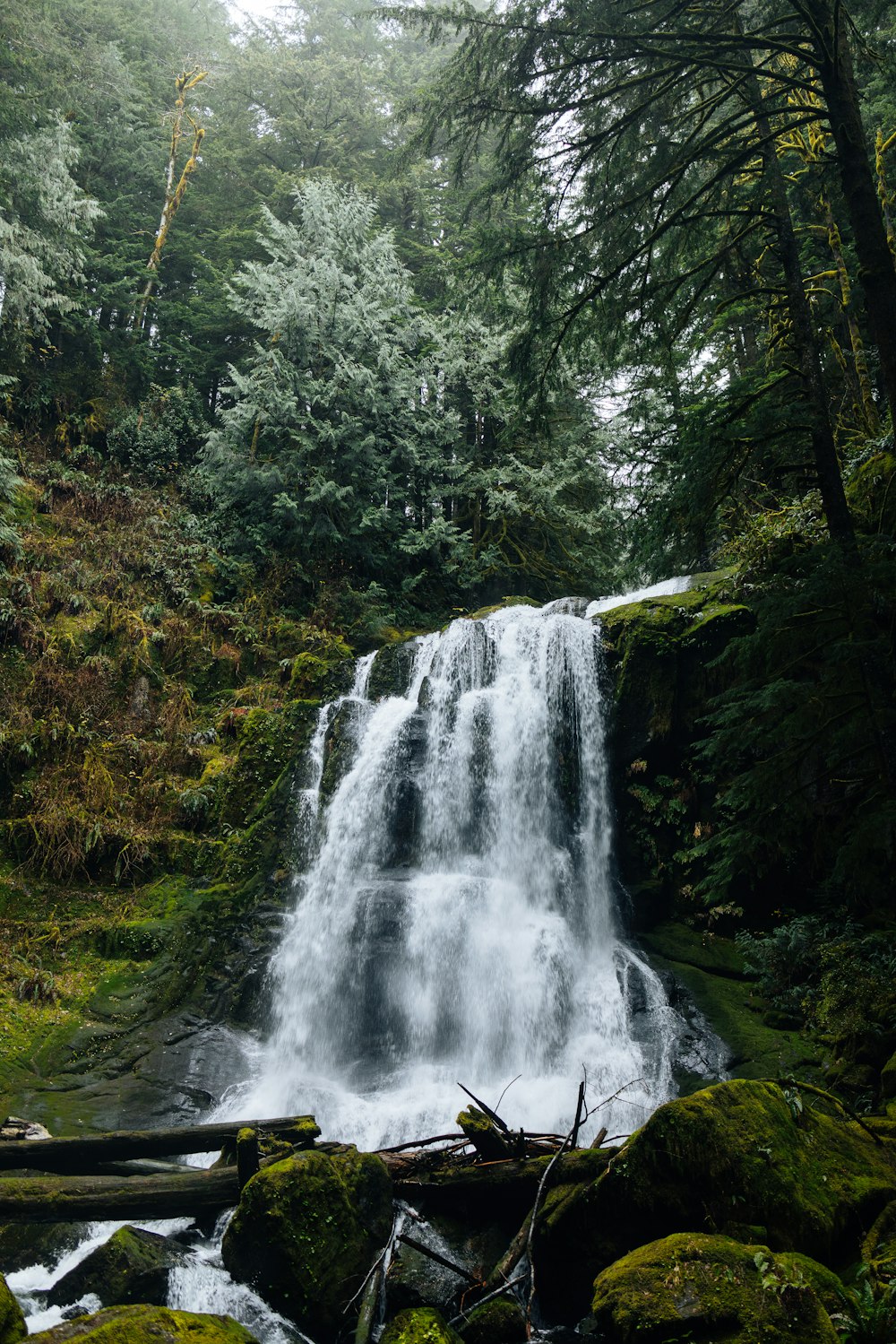 a waterfall in the middle of a forest