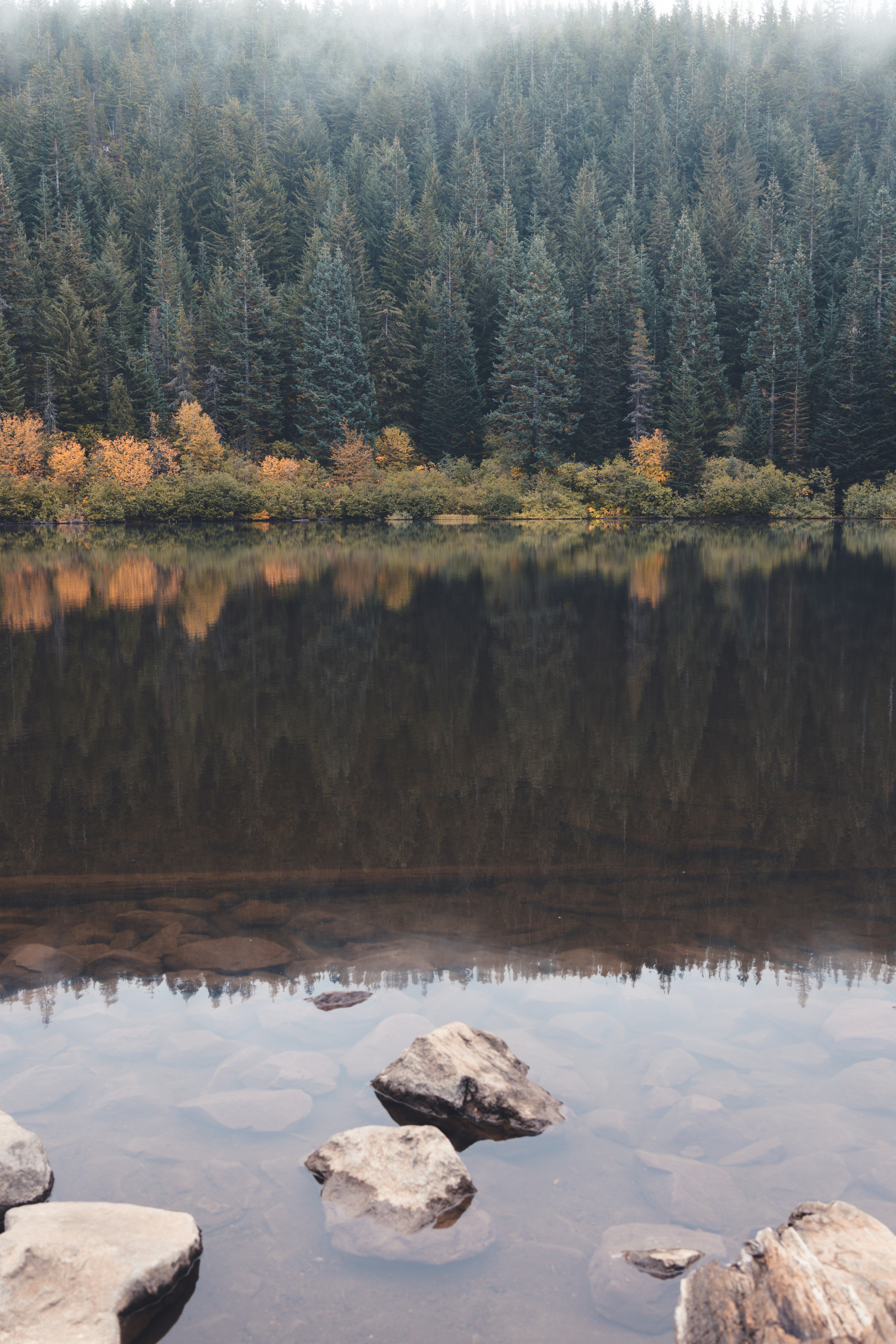 Photo by ericmuhr