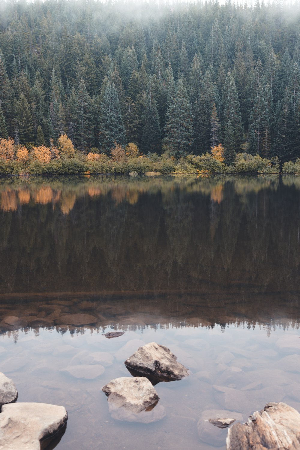 a body of water surrounded by rocks and trees