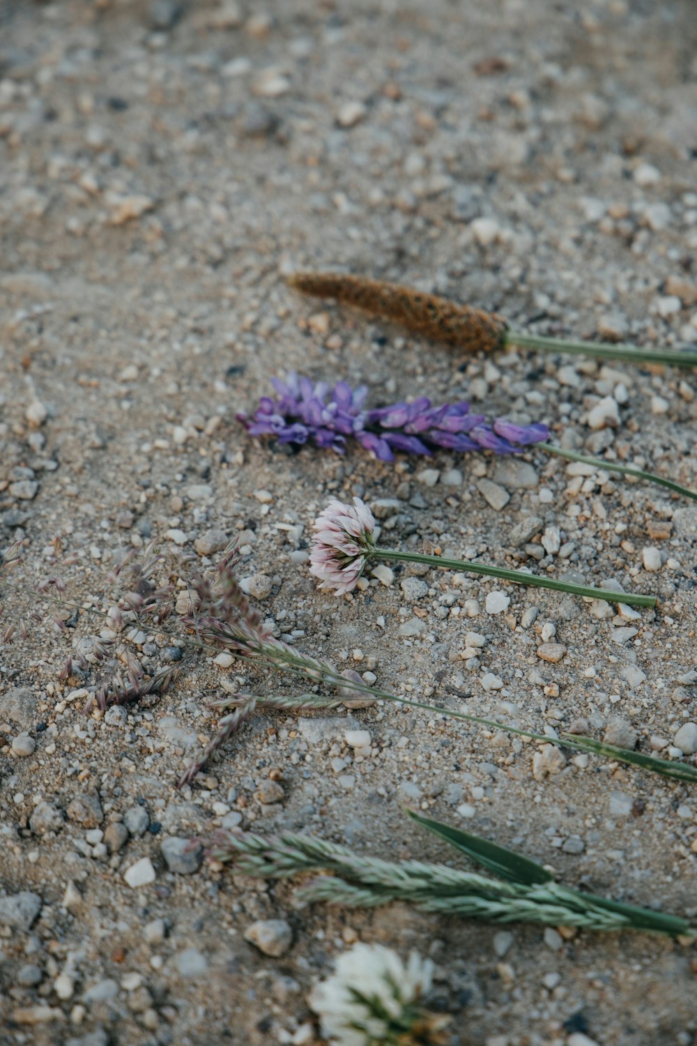ein Blumenstrauß, der auf dem Boden liegt