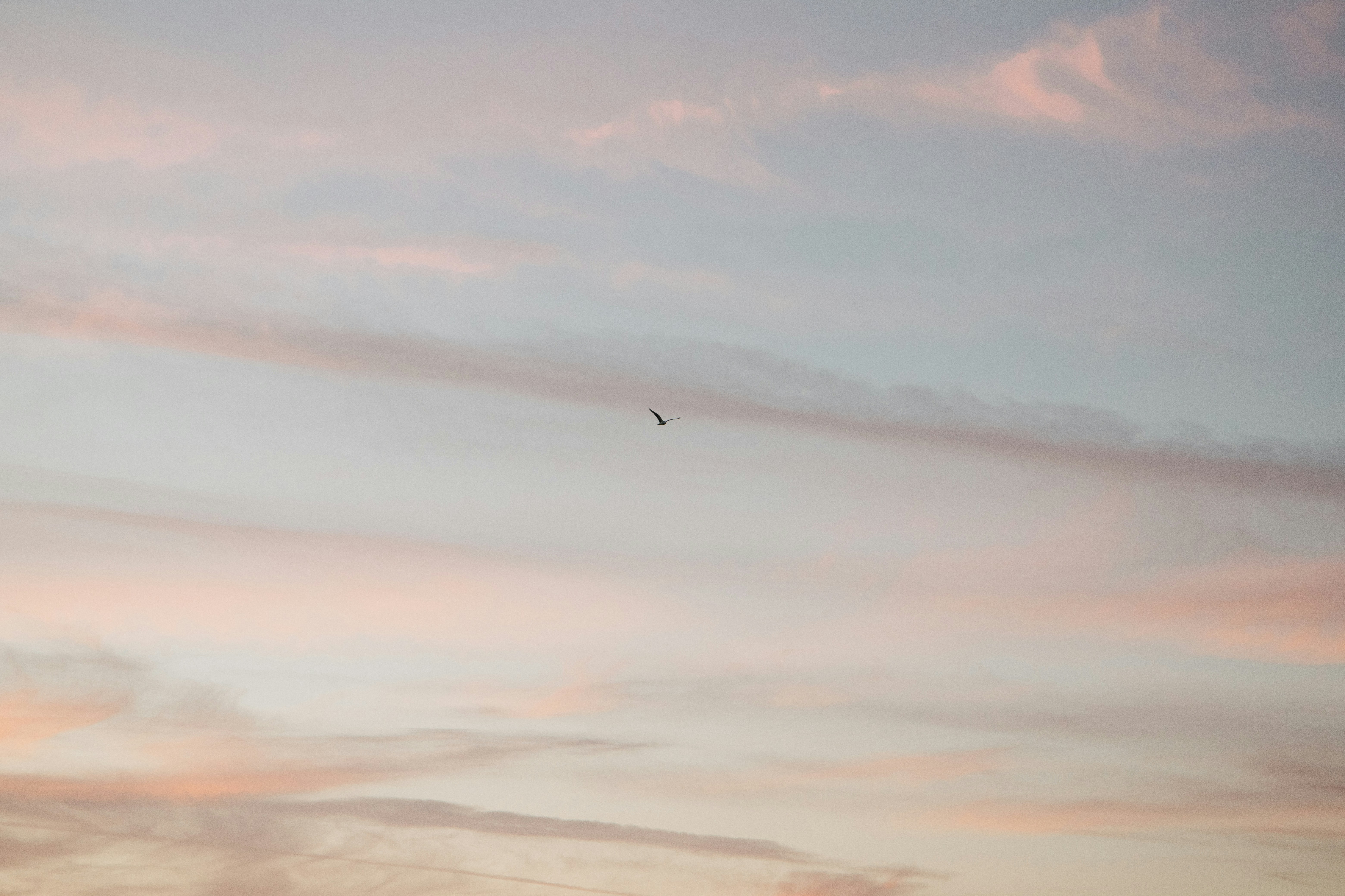 Photo by katharina_bill