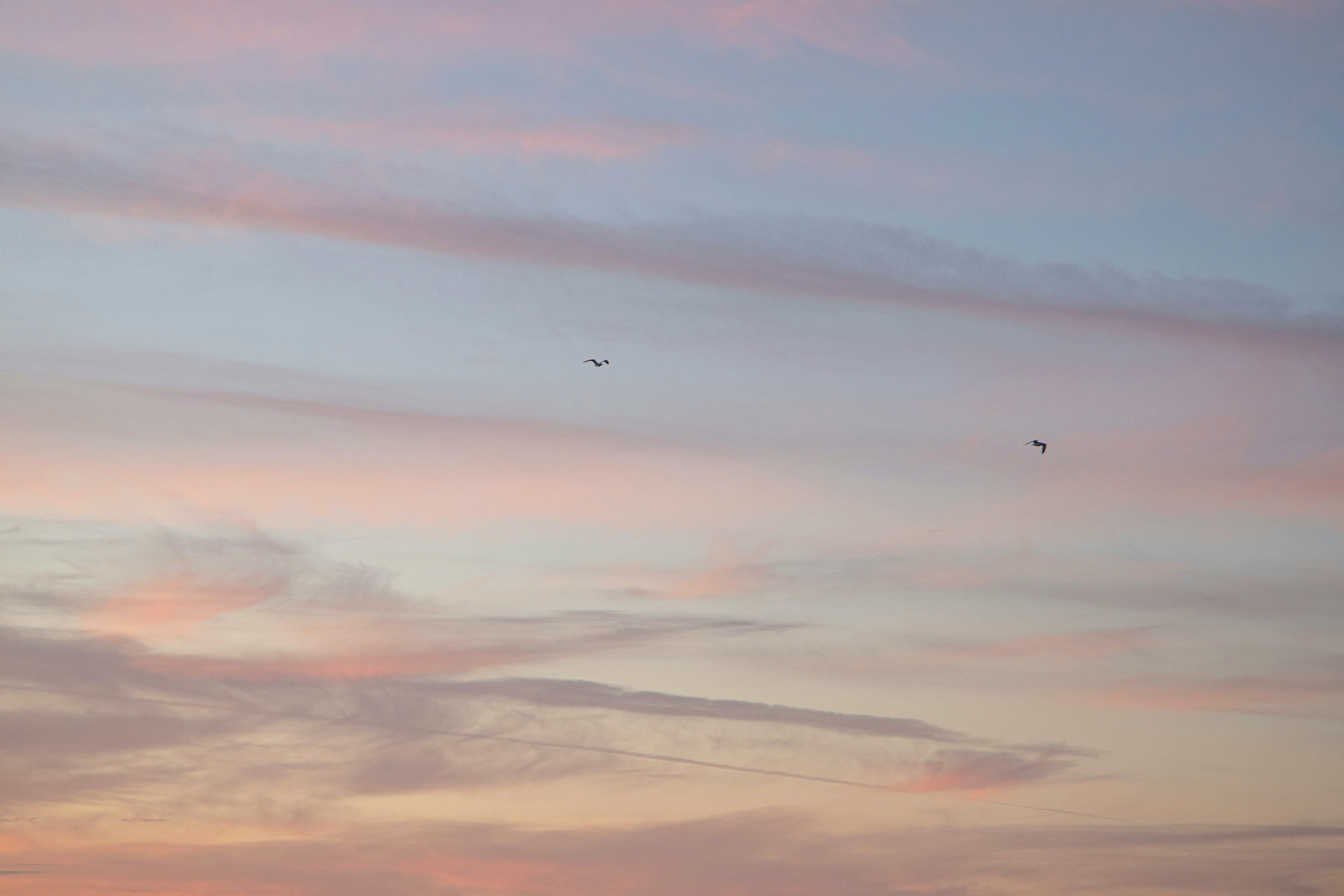 Photo by katharina_bill