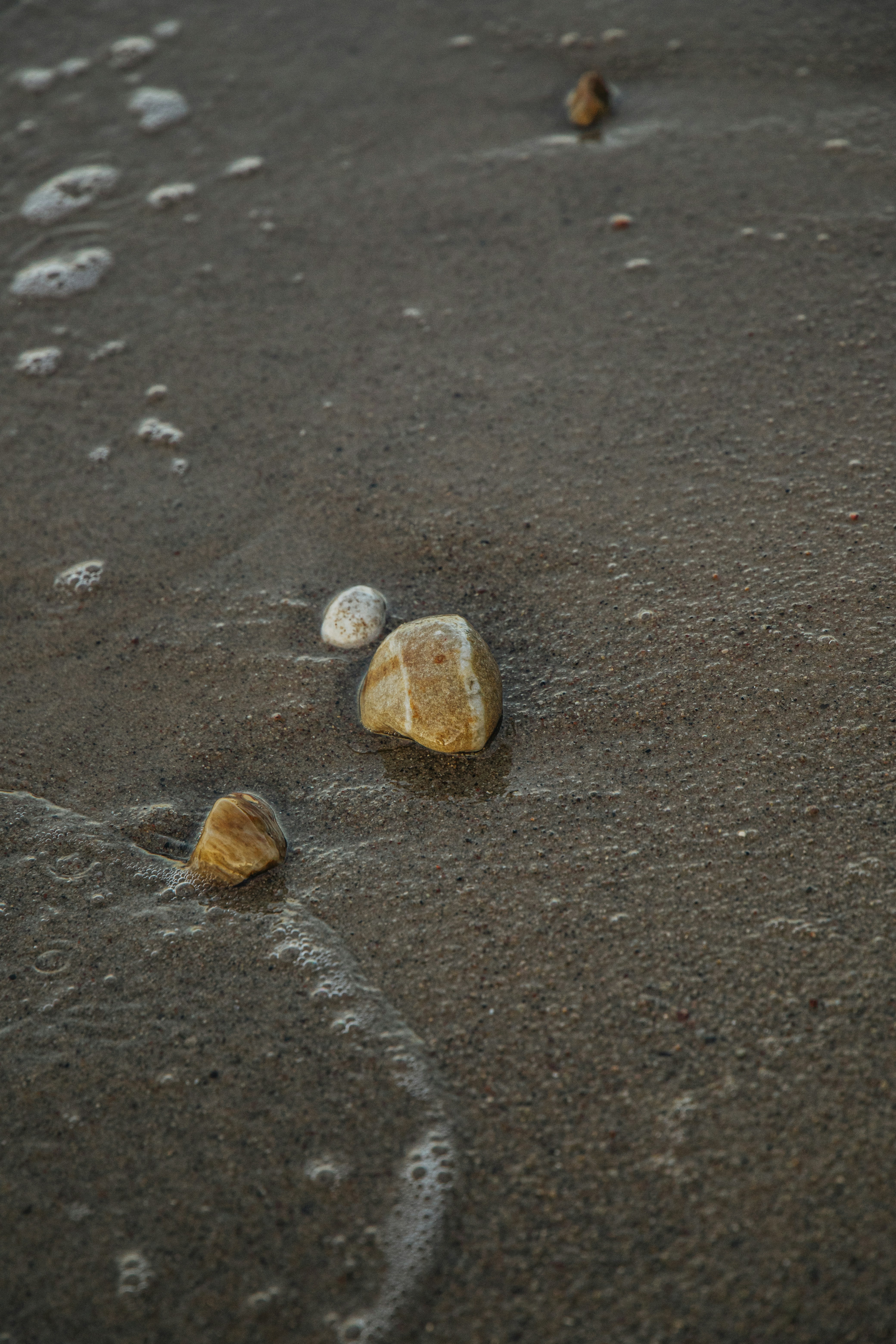 Photo by katharina_bill