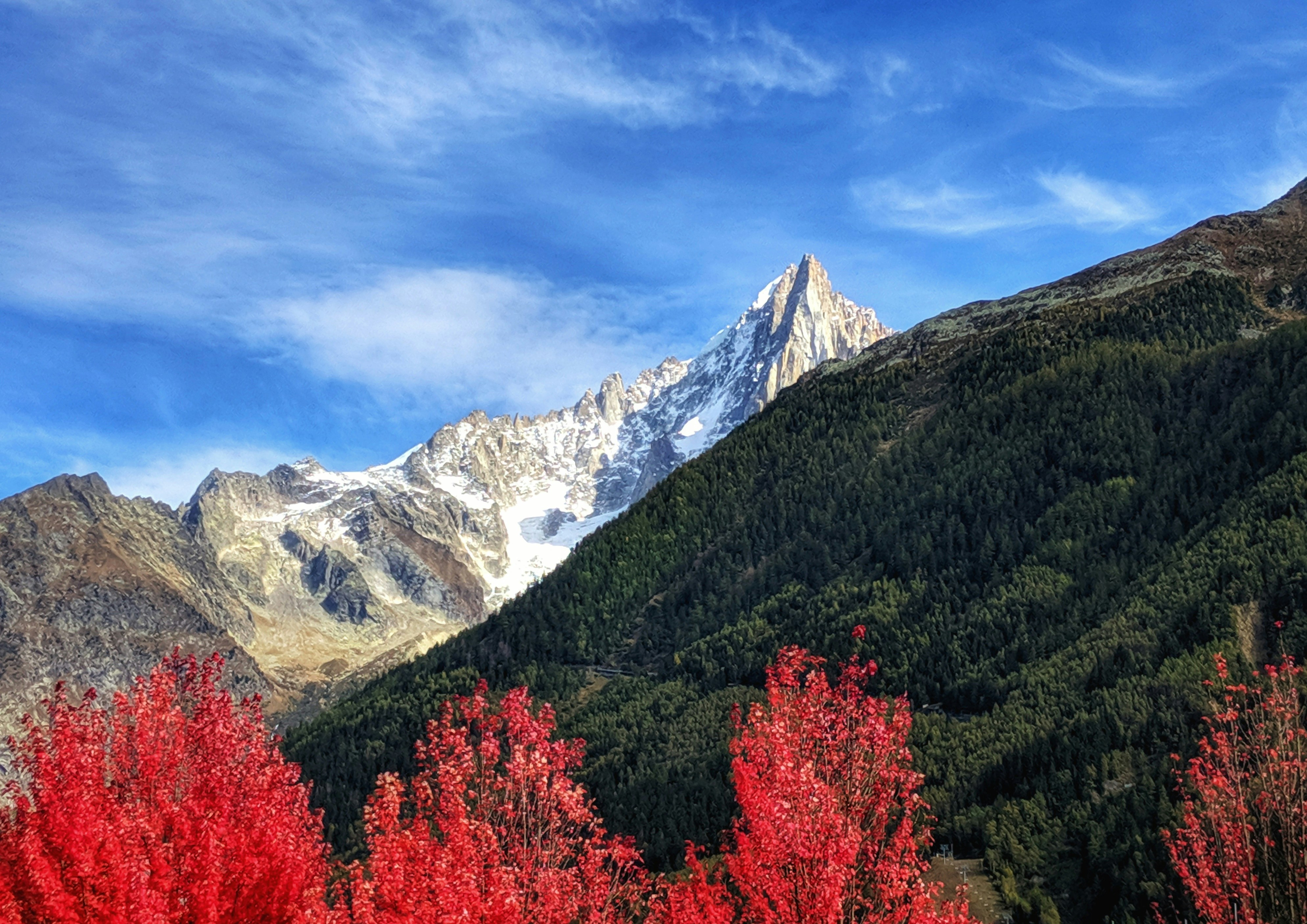 Photo by trusted_fox