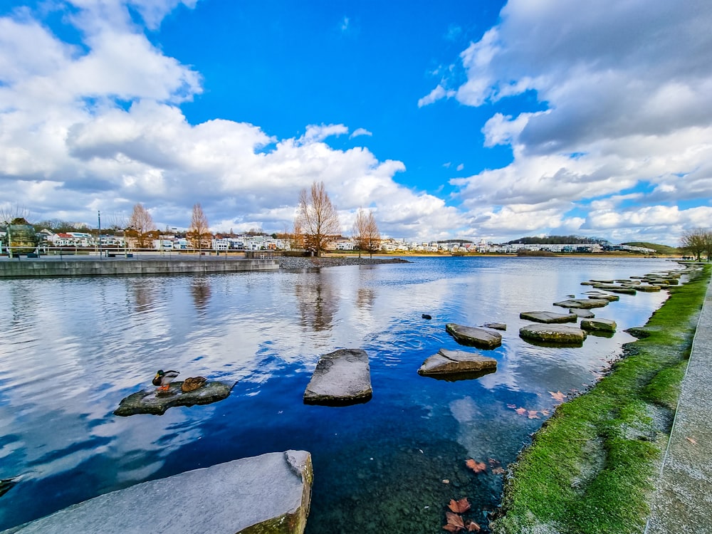 a body of water surrounded by rocks and grass