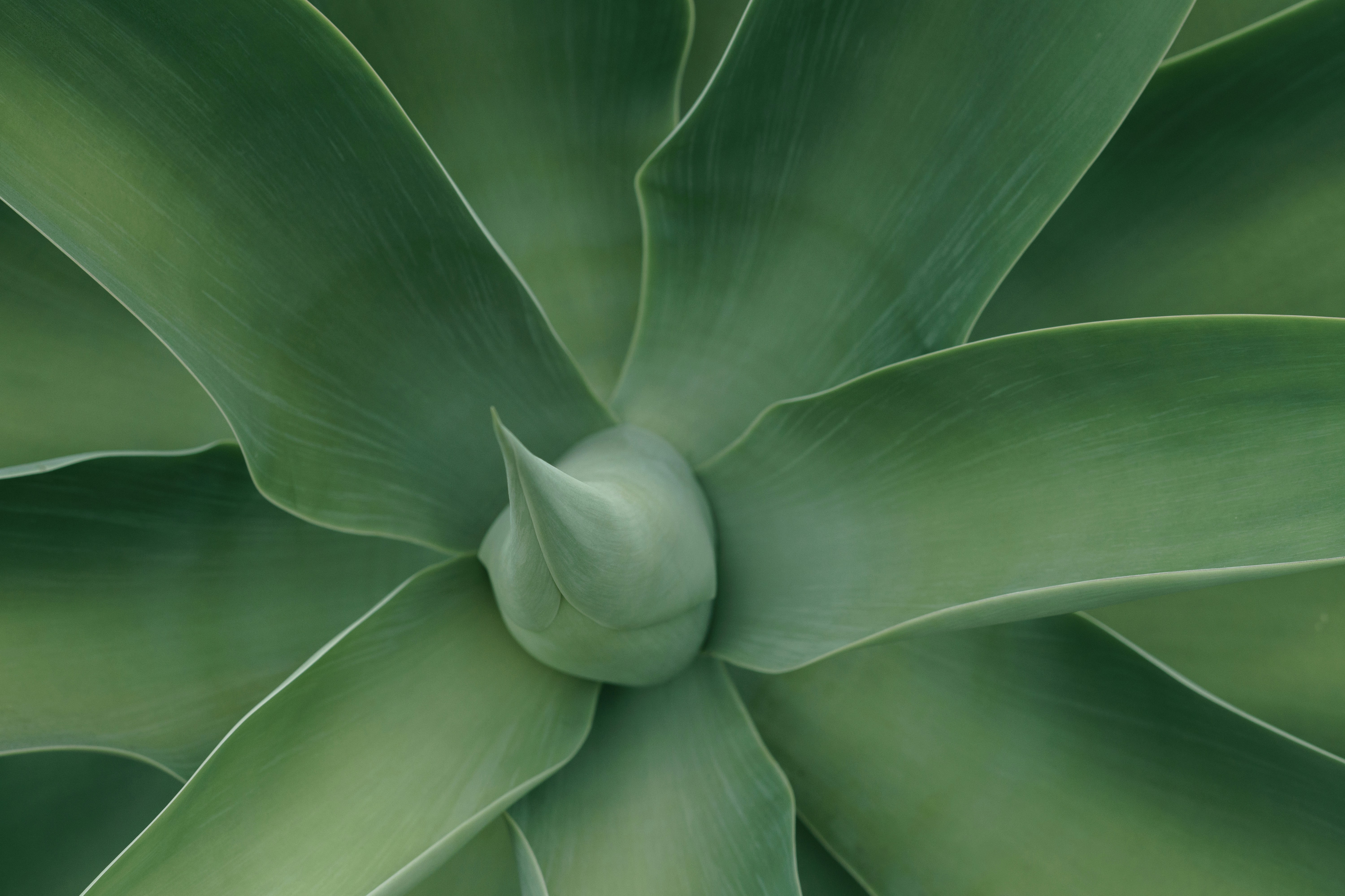 Photo by earl_plannerzone