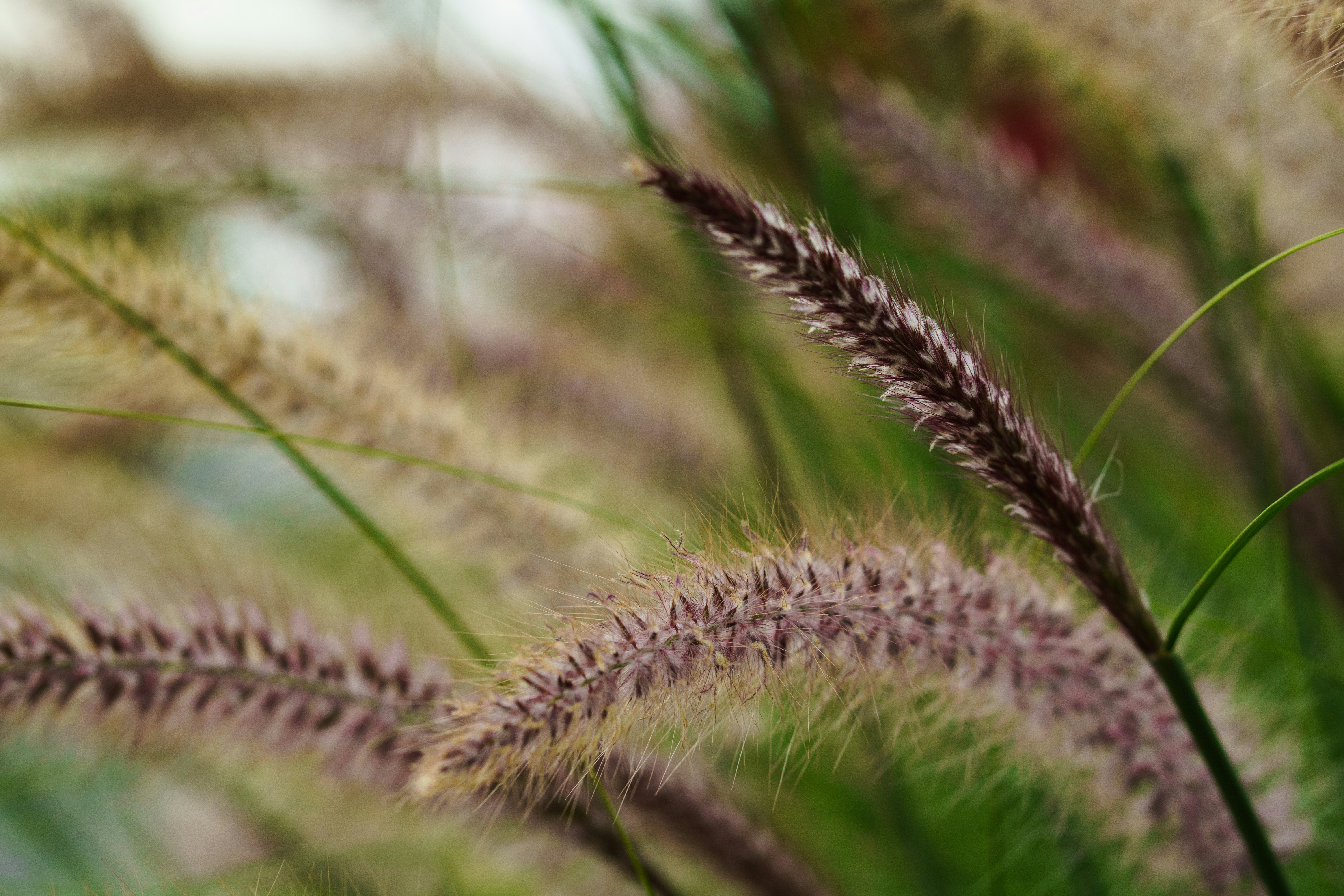 Photo by earl_plannerzone