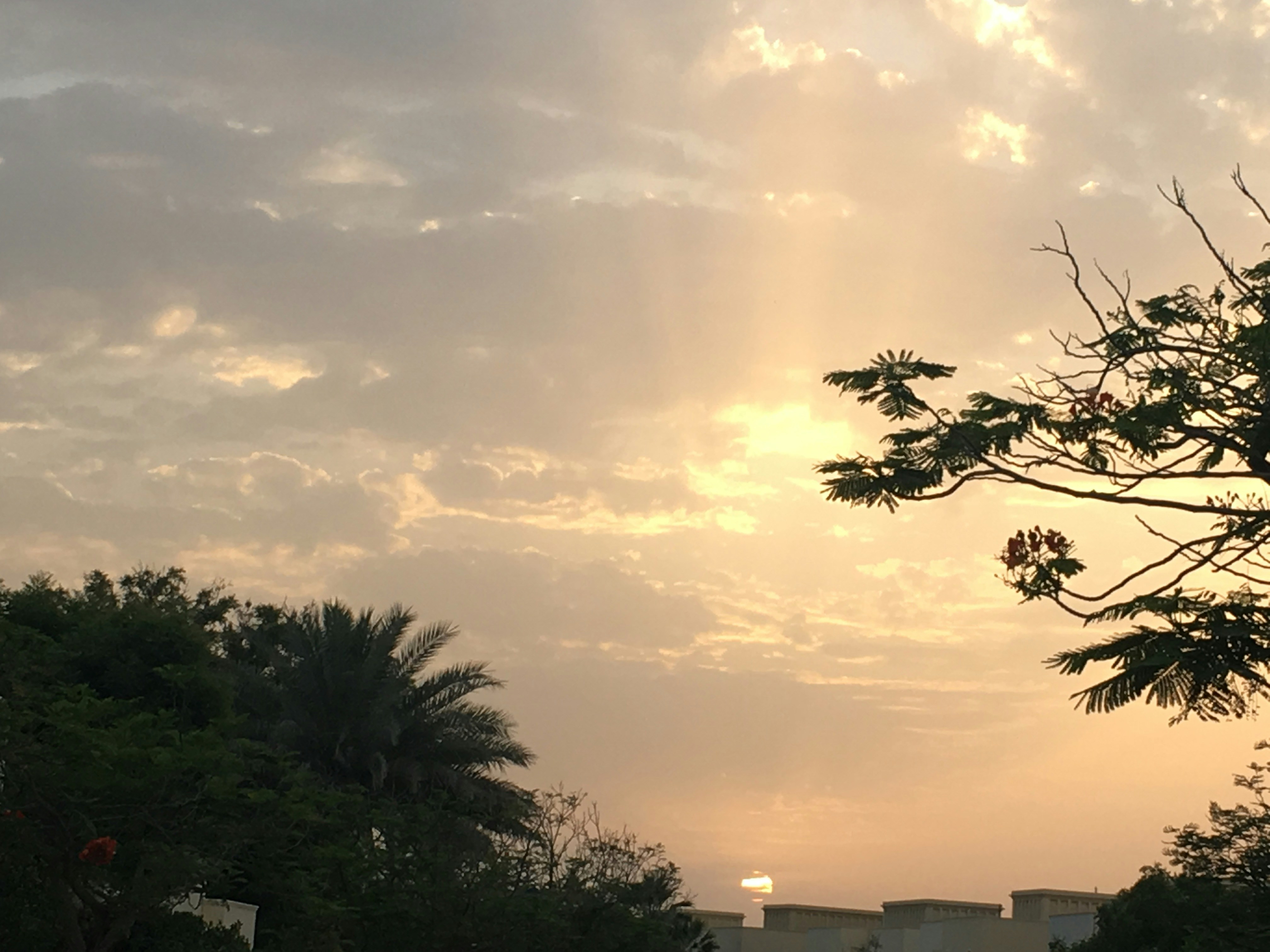 Photo by dxb_foodielovers