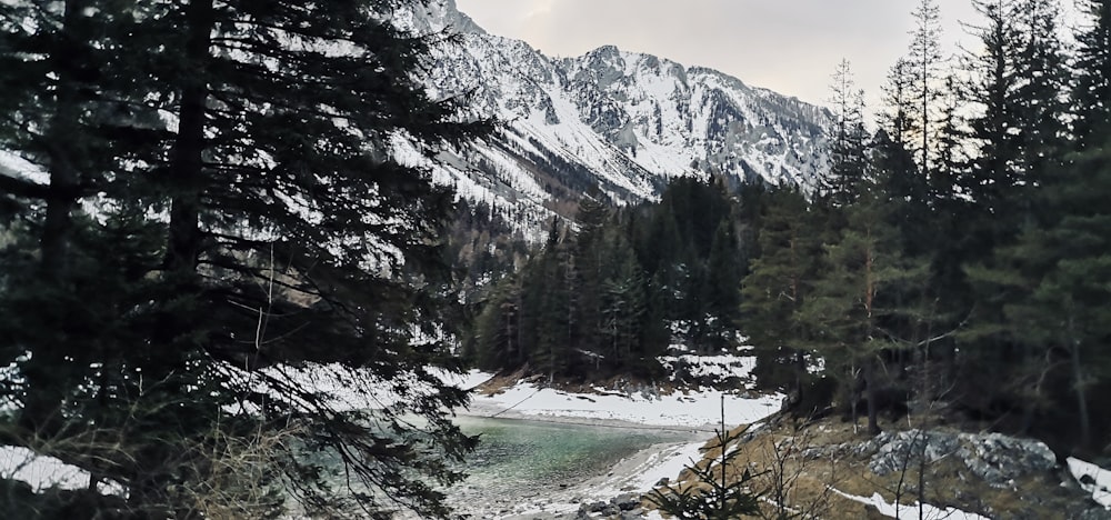 a river running through a snow covered forest