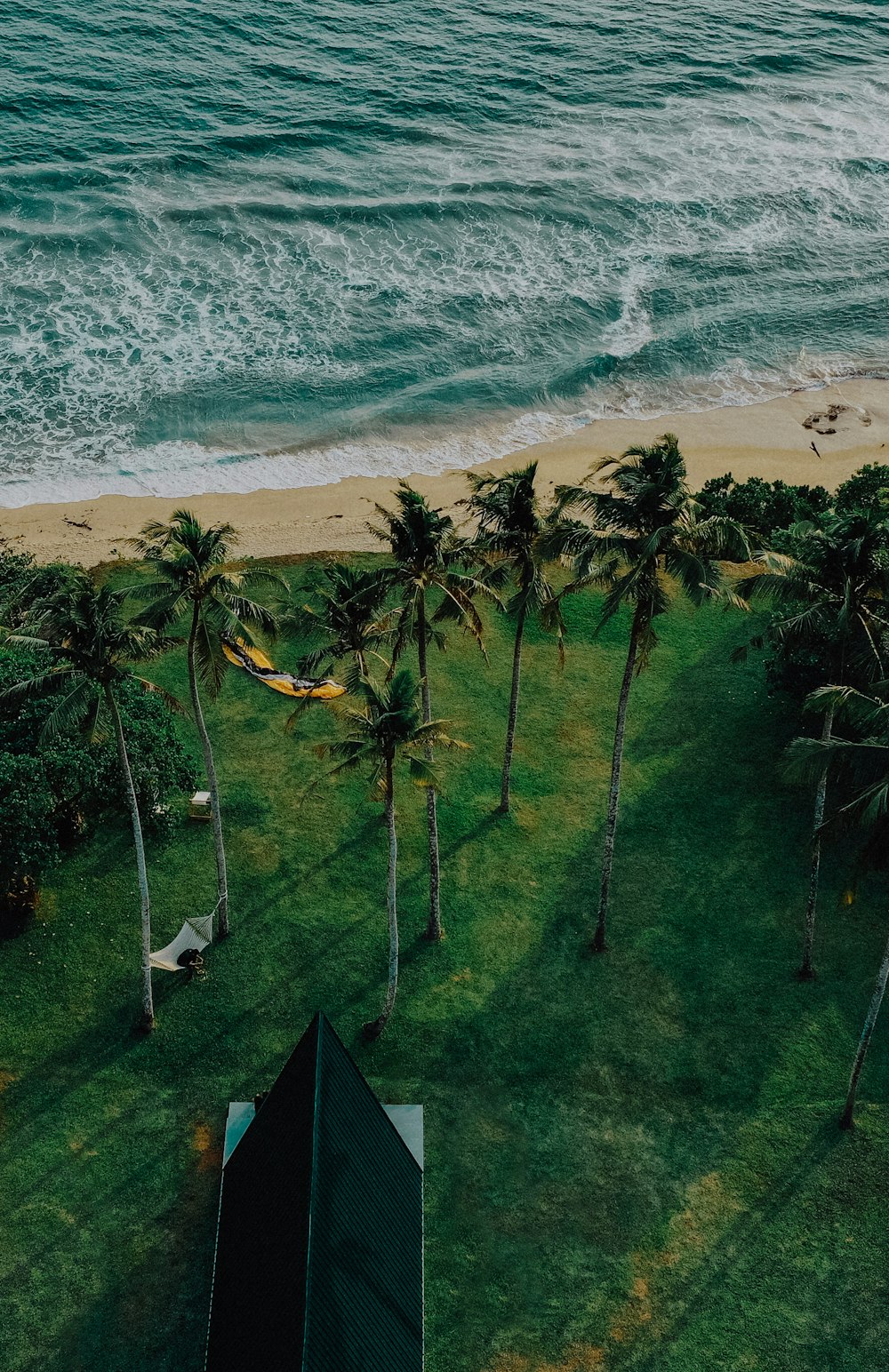 an aerial view of a beach with palm trees