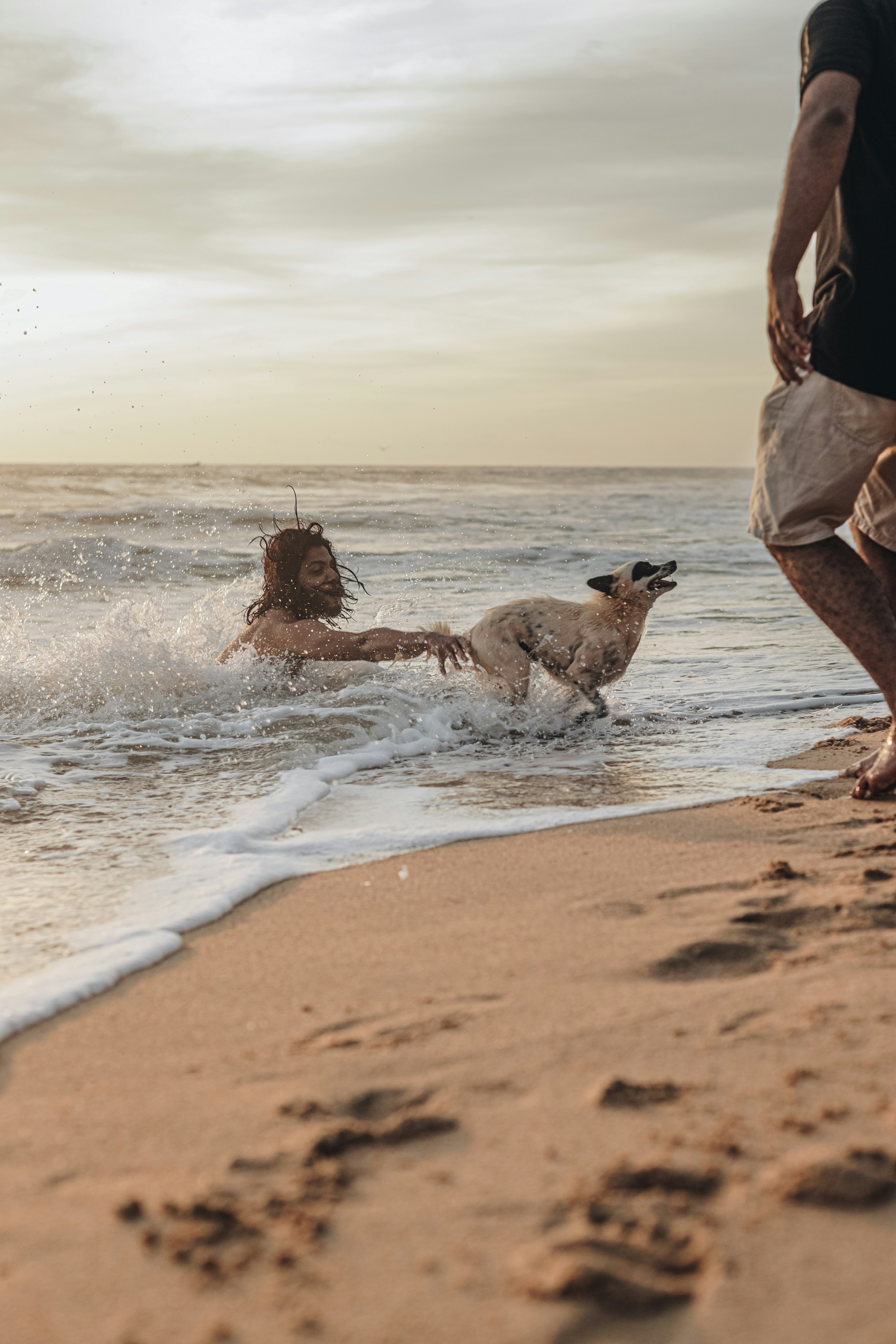 a man and a woman playing with a dog on the beach