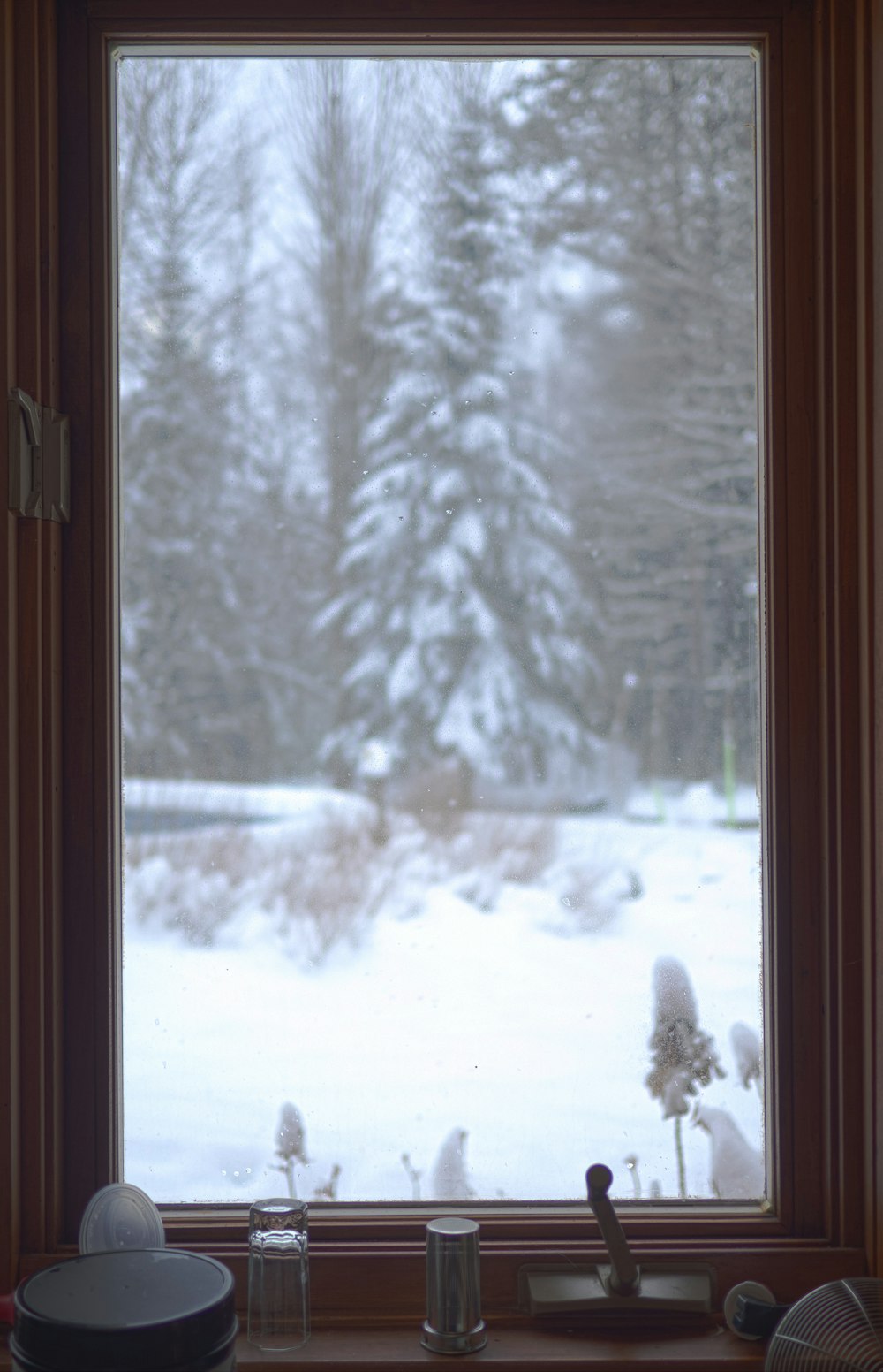 a view of a snowy yard through a window