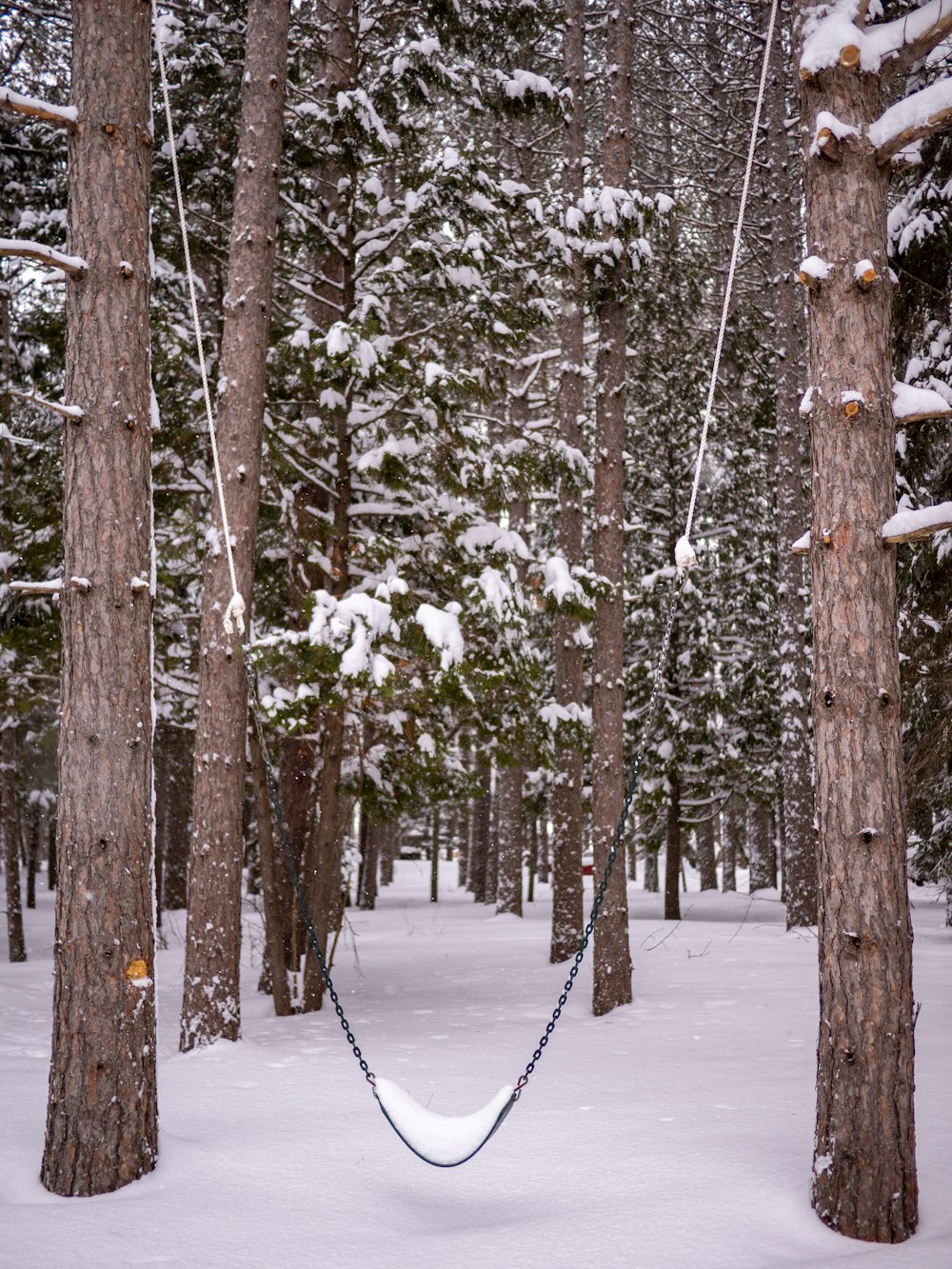 a hammock hanging between two trees in the snow
